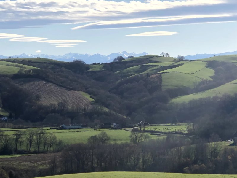 Venta, Finca Orègue - picture 2