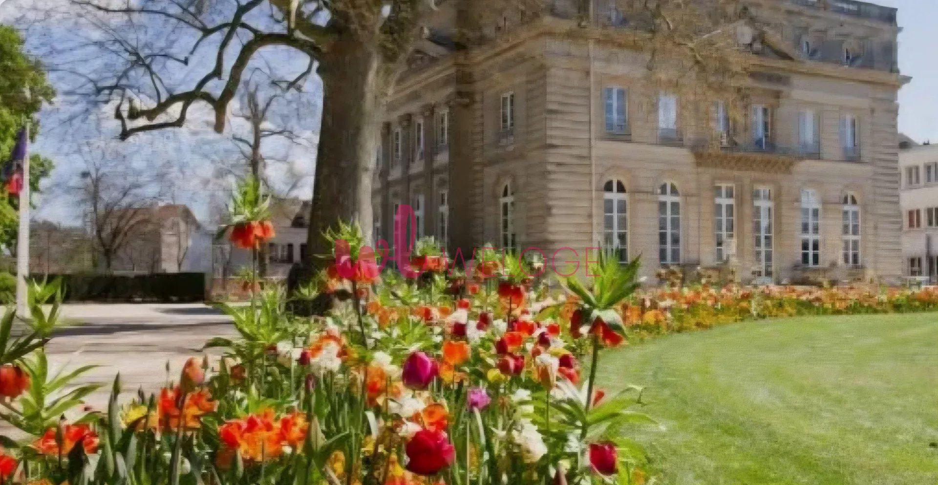 Agence immobilière de WeLoge