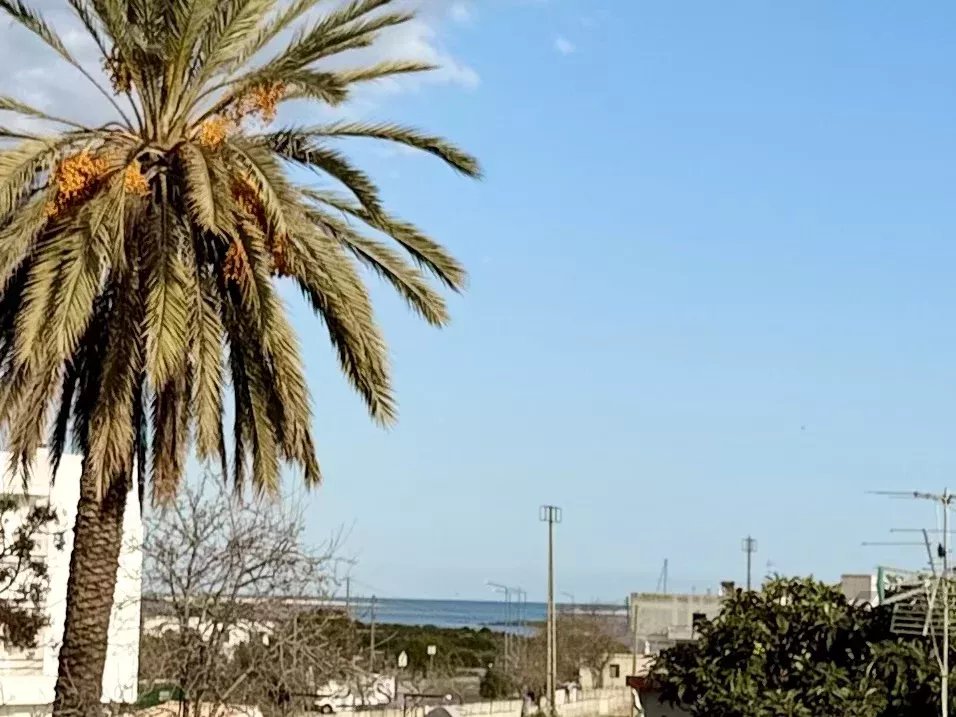 Furnished Semi-Detached House in Fuseta, Moncarapacho 86806231 image 1