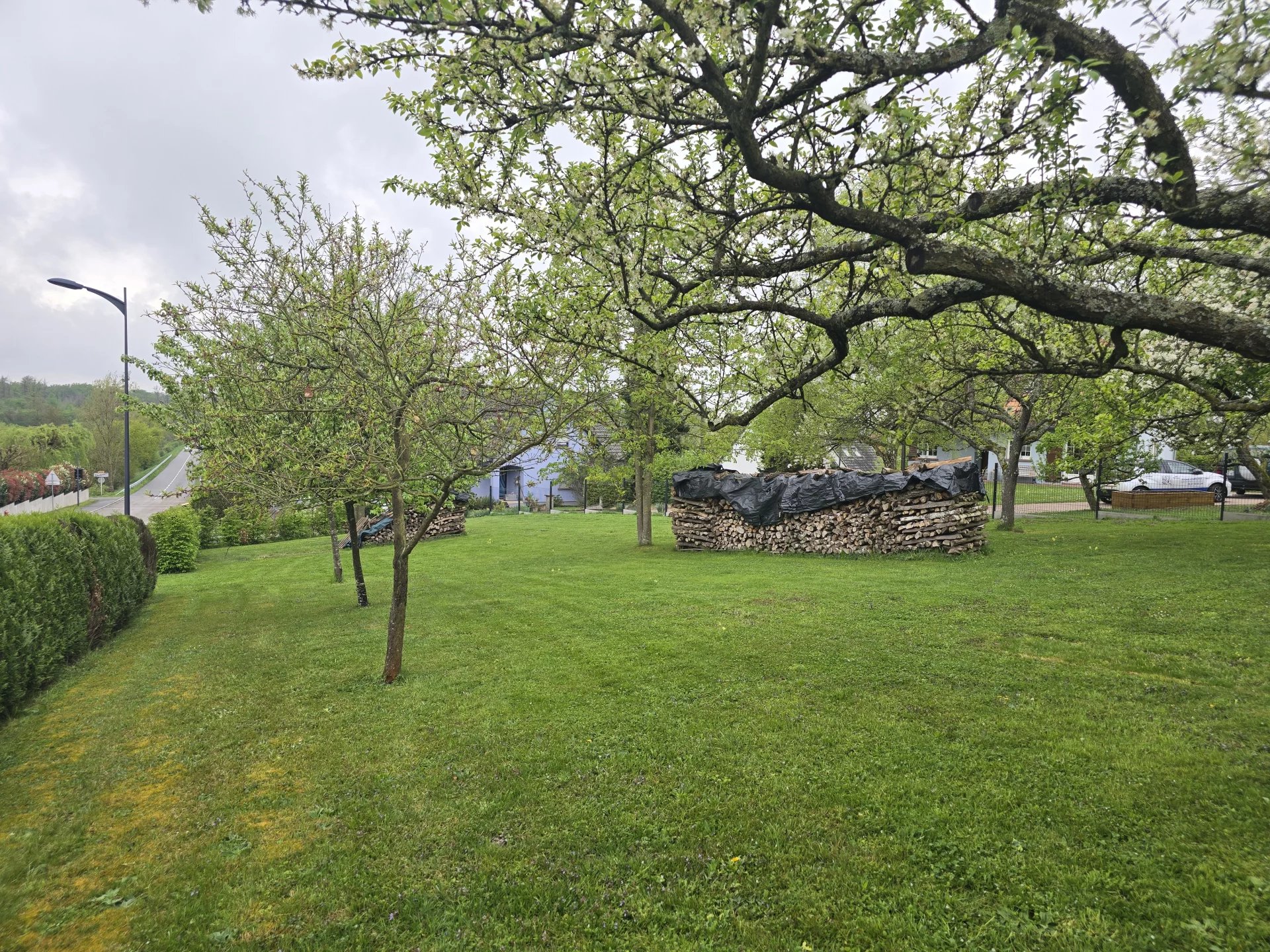 🏡 Terrain constructible à vendre – Walbourg (67360)