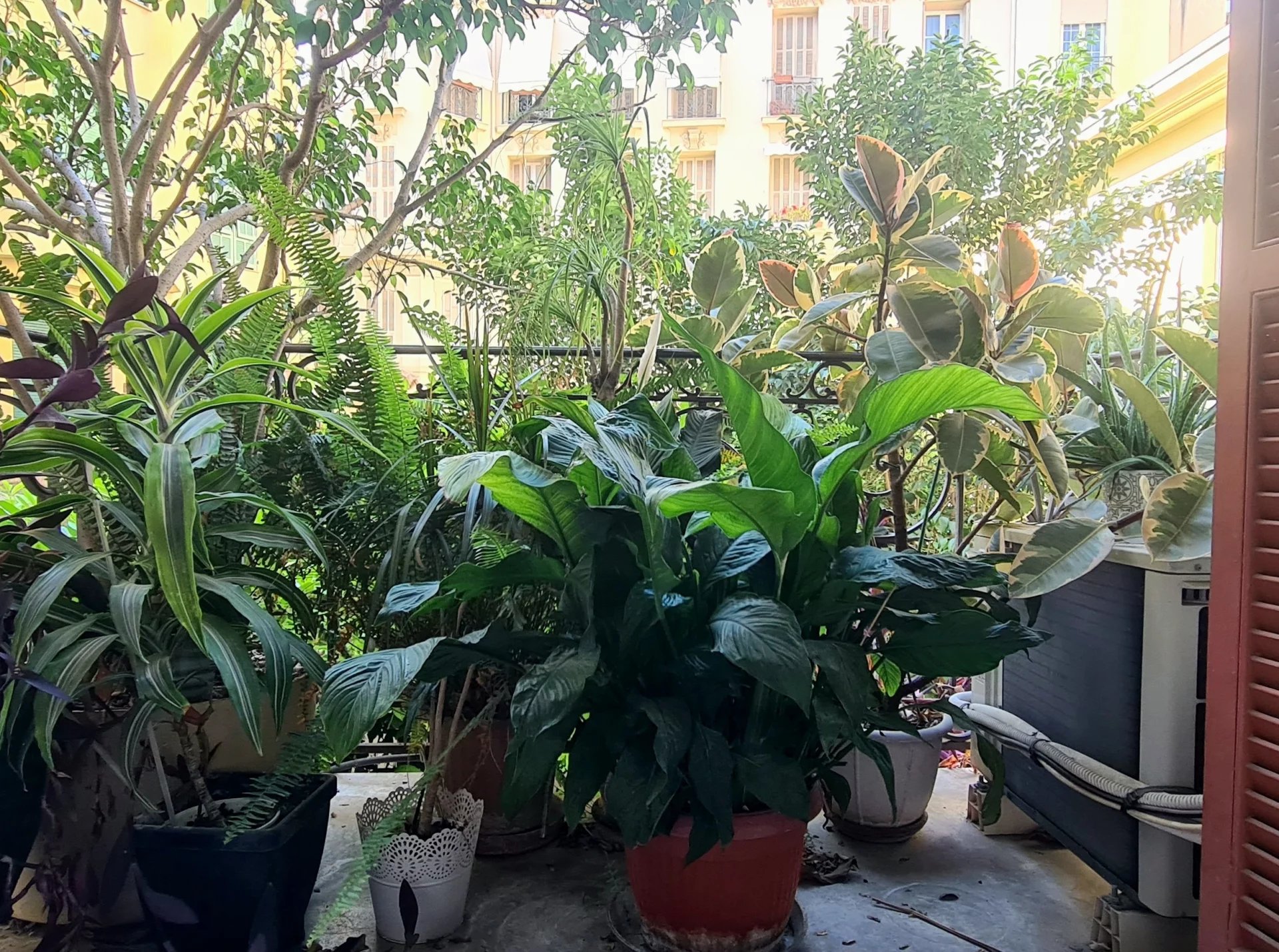 NICE MUSICIENS : 3P balcon dans beau bourgeois