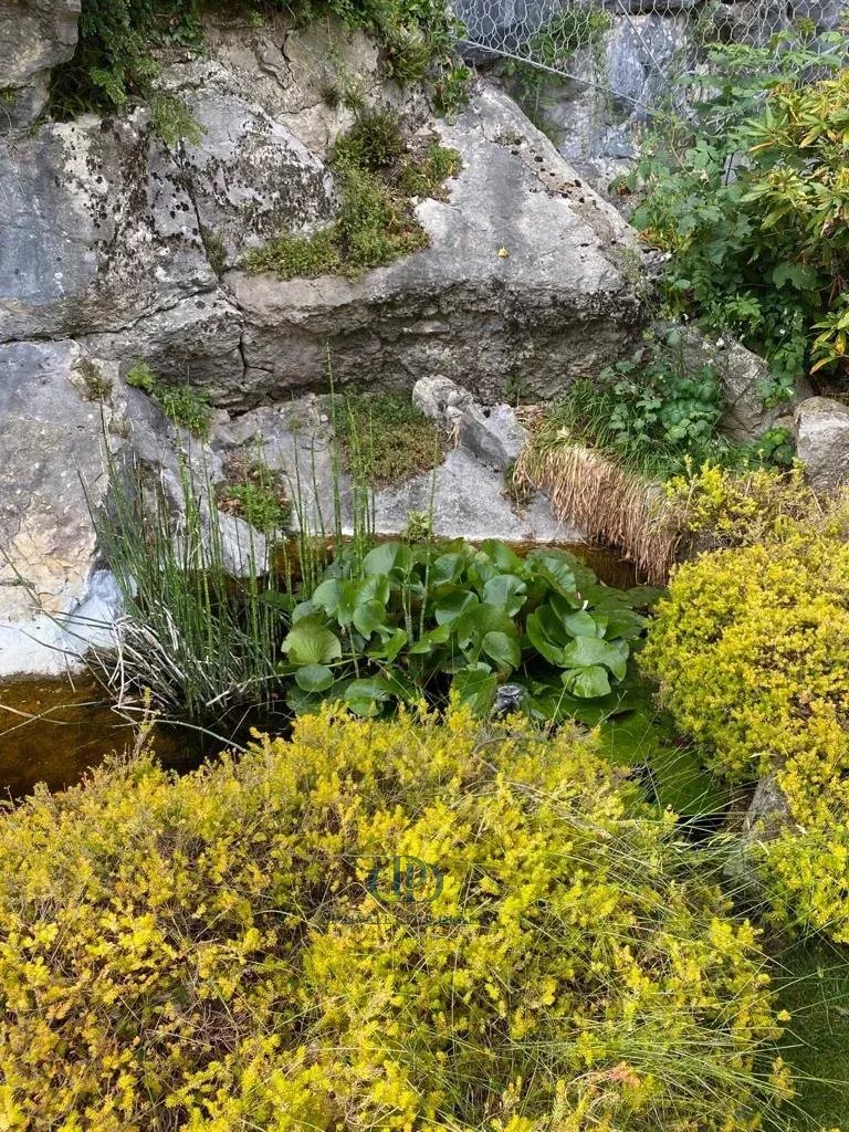 Villa Varese - picture 10