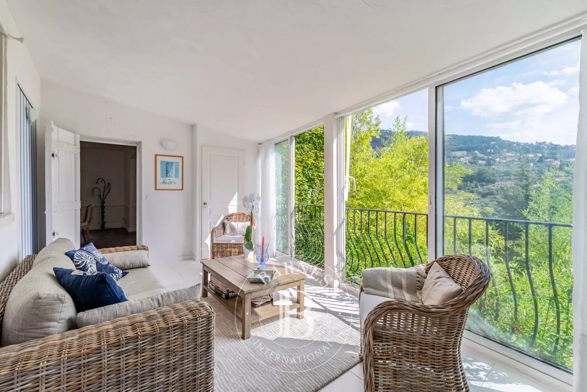 Ev Grasse - picture 8