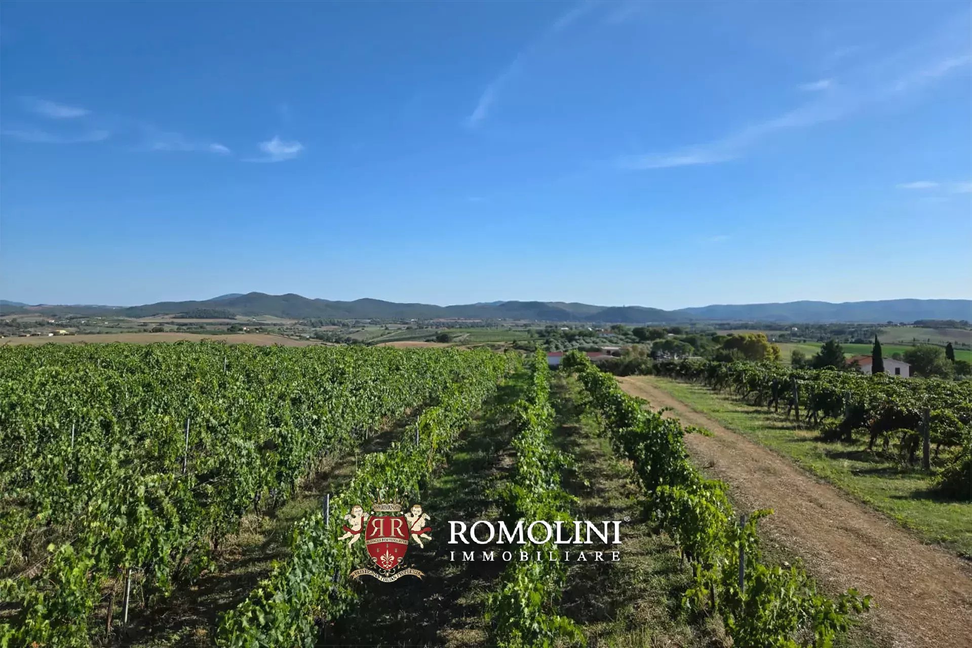 2 Bedroom Vineyard's Image 4