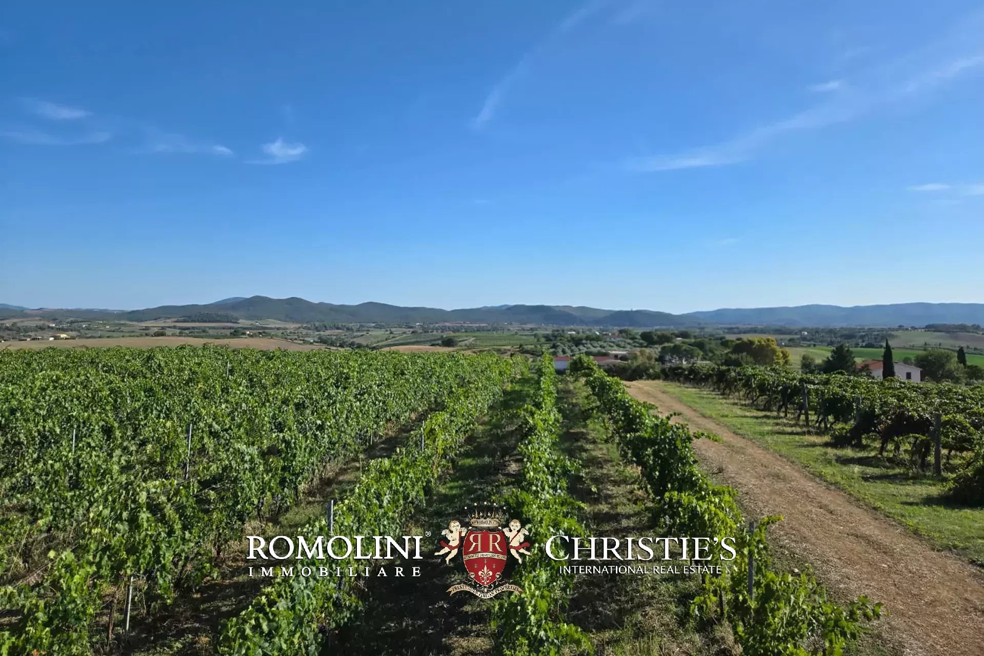 2 Bedroom Vineyard's Image 4