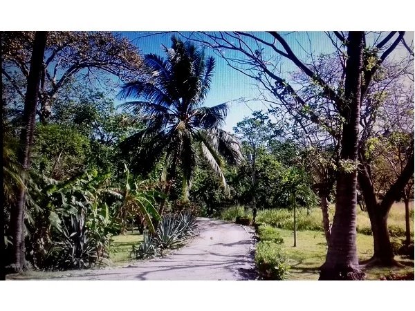 Venta Casa Tamarindo