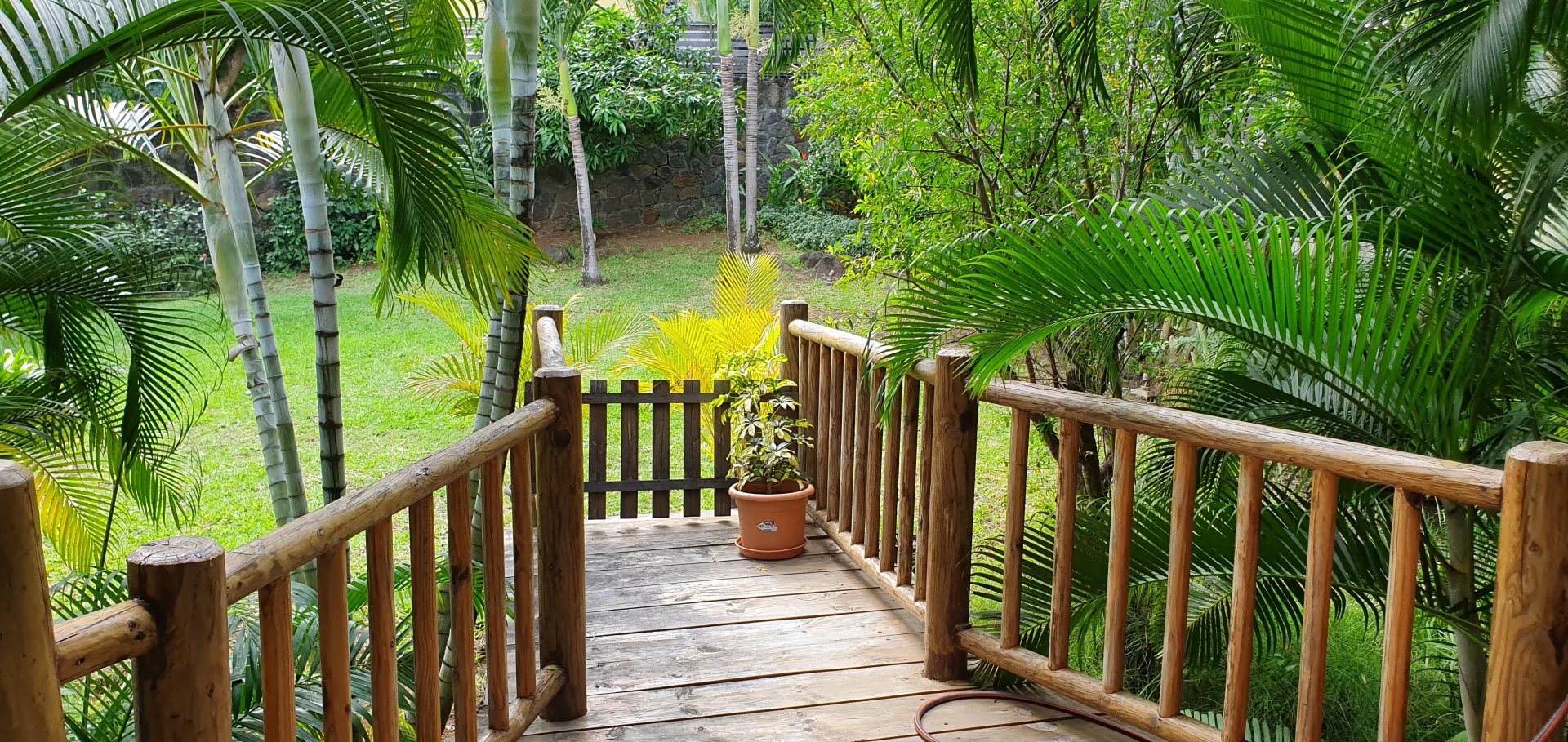 Ev Tamarin - picture 13