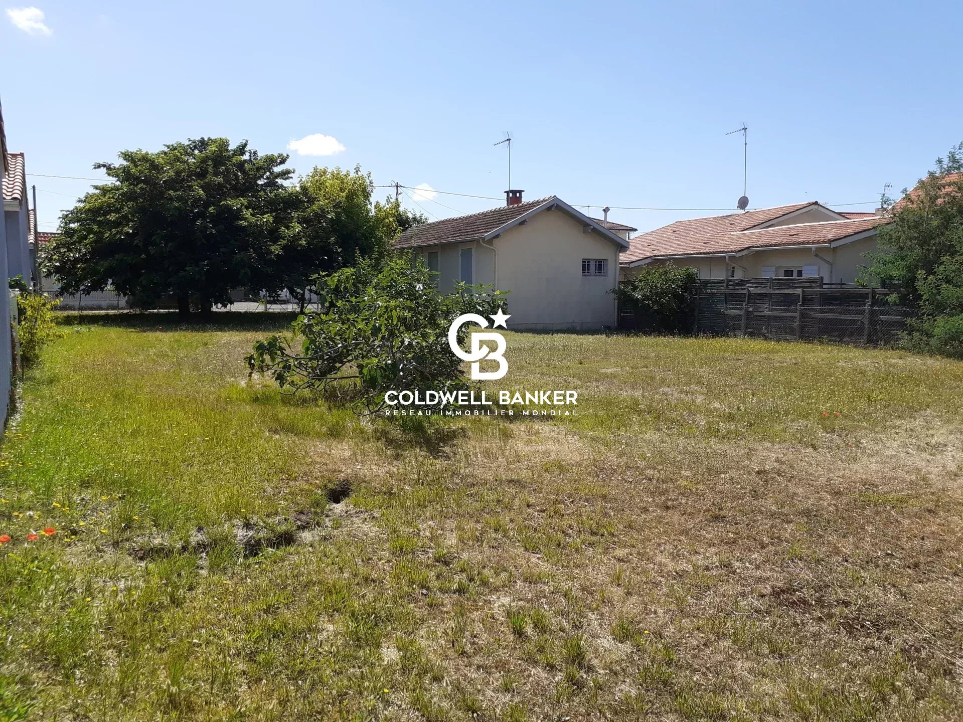 Agence immobilière de Silver Coast Int. Realty