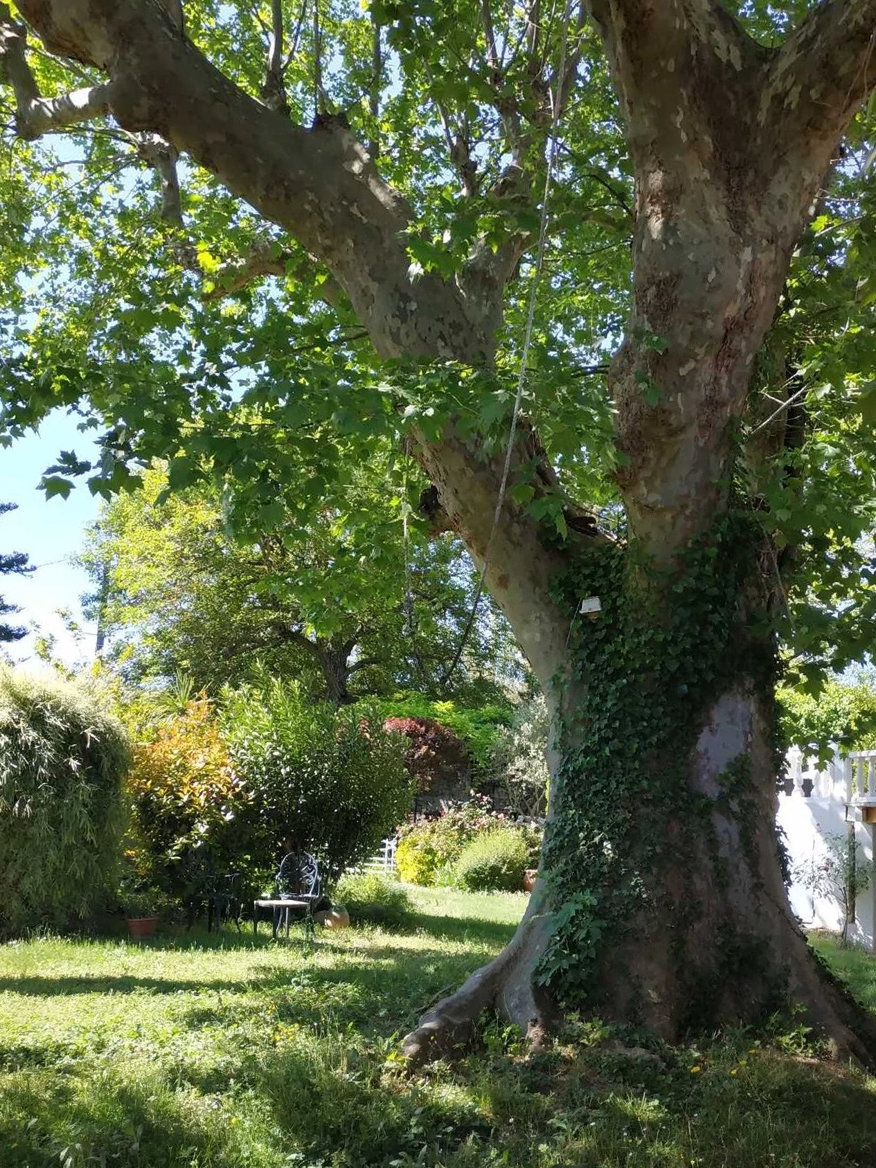 Charming 4-Bedroom Provencal House with Pool in Correns