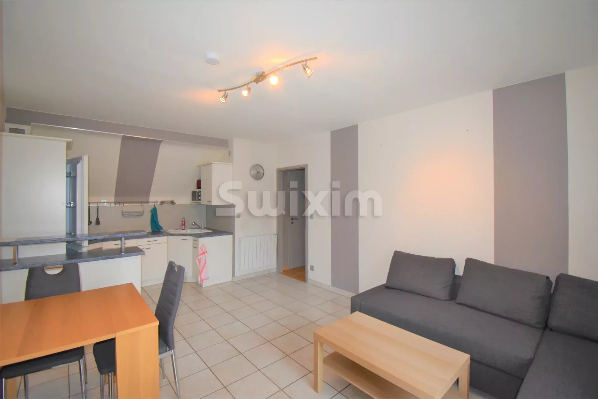 Agence immobilière de SWISS PLAN SAS
