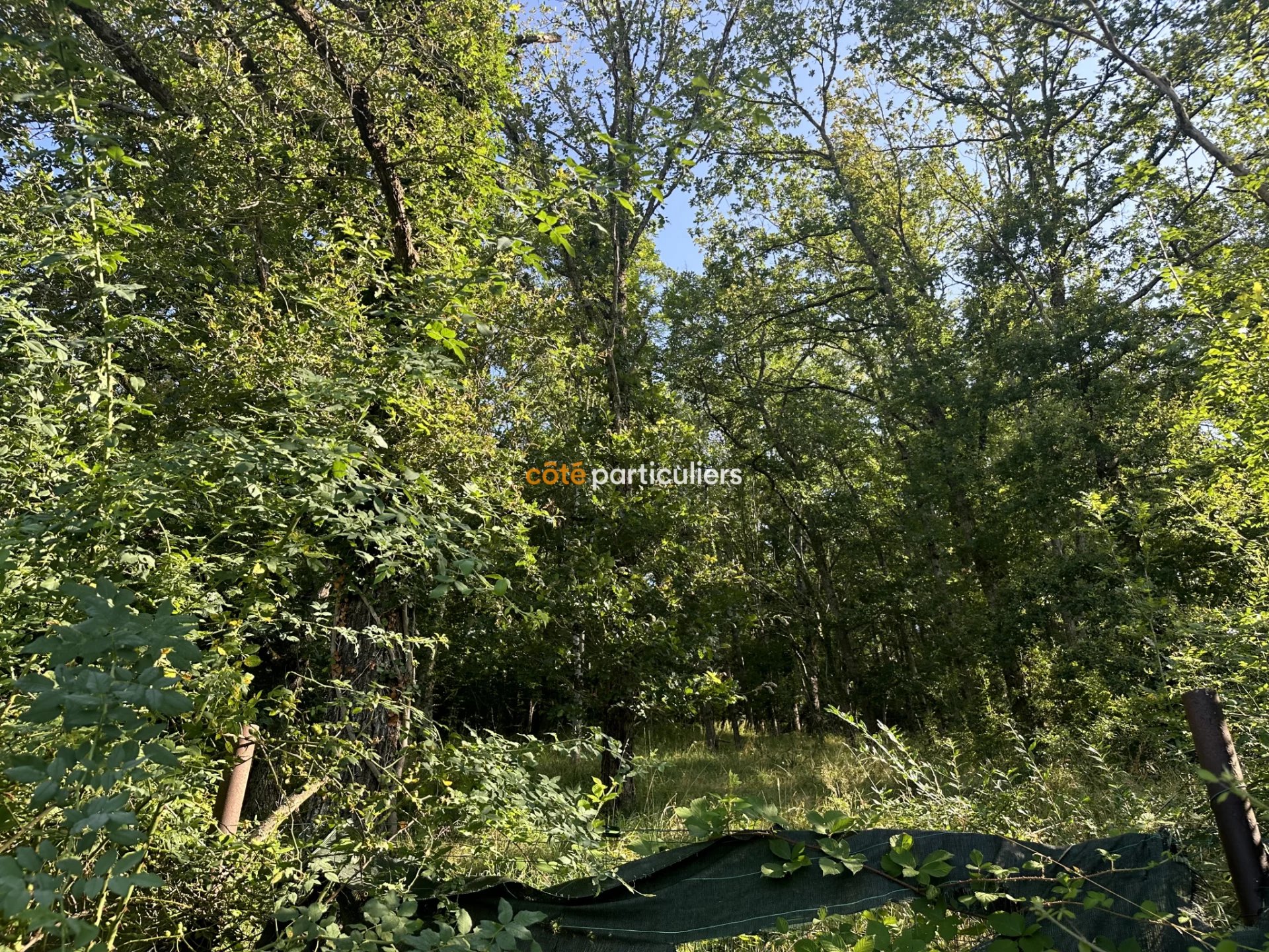 Vente Terrain Bruère-Allichamps