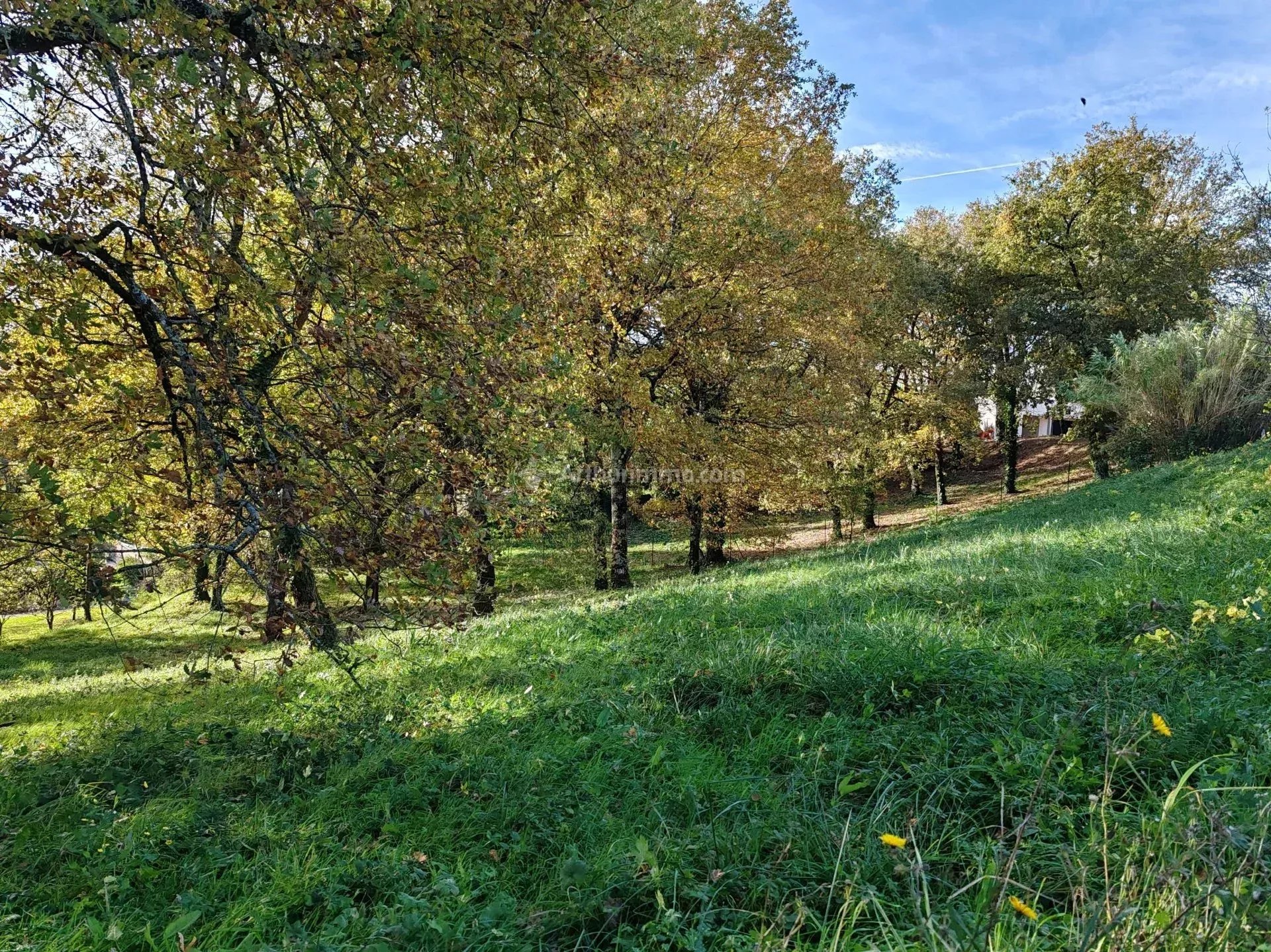 Agence immobilière de Arthurimmo.com