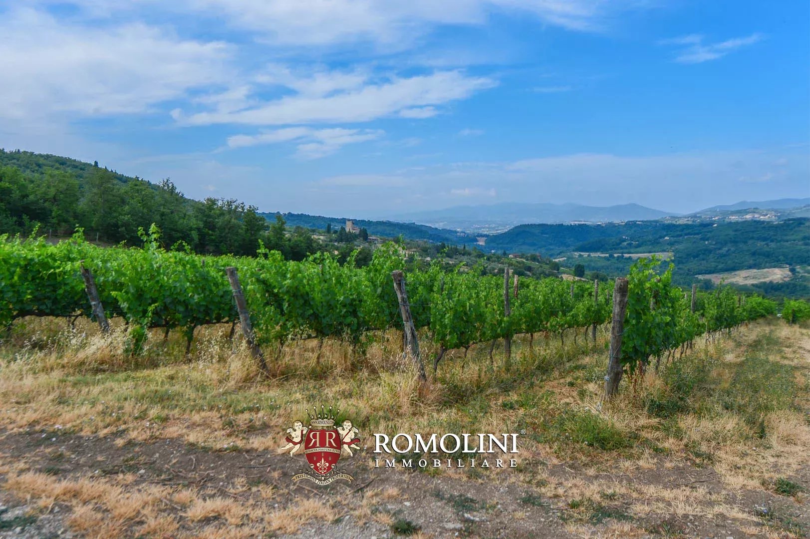 50 Bedroom Vineyard's Image 15