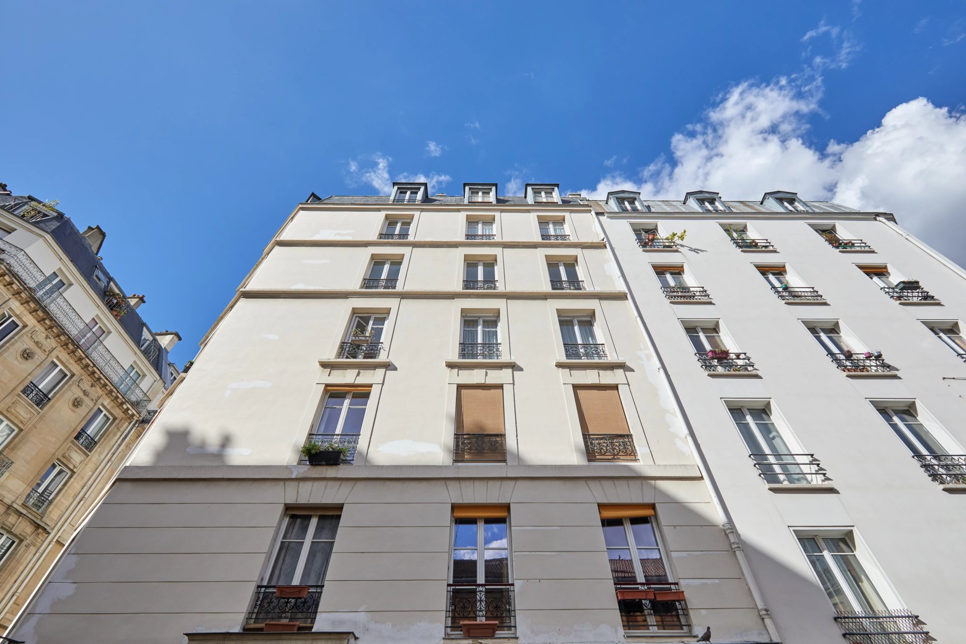 1 Bedroom Apartment/Flat's Image 12