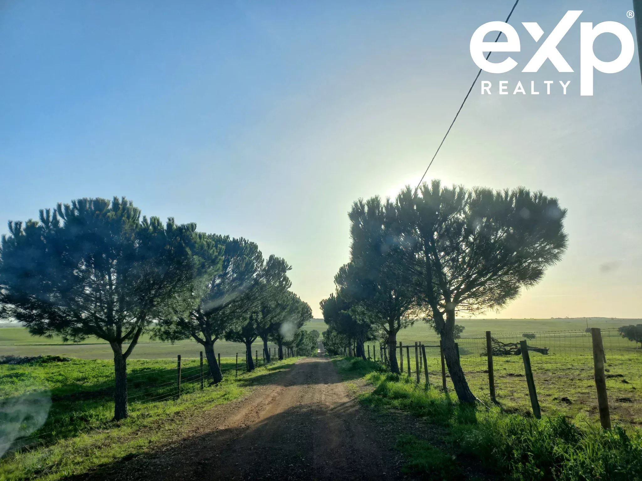 Herdade para Gado -Baixo Alentejo (Insurance for investors, funds and ICNF) 86742404 image 7