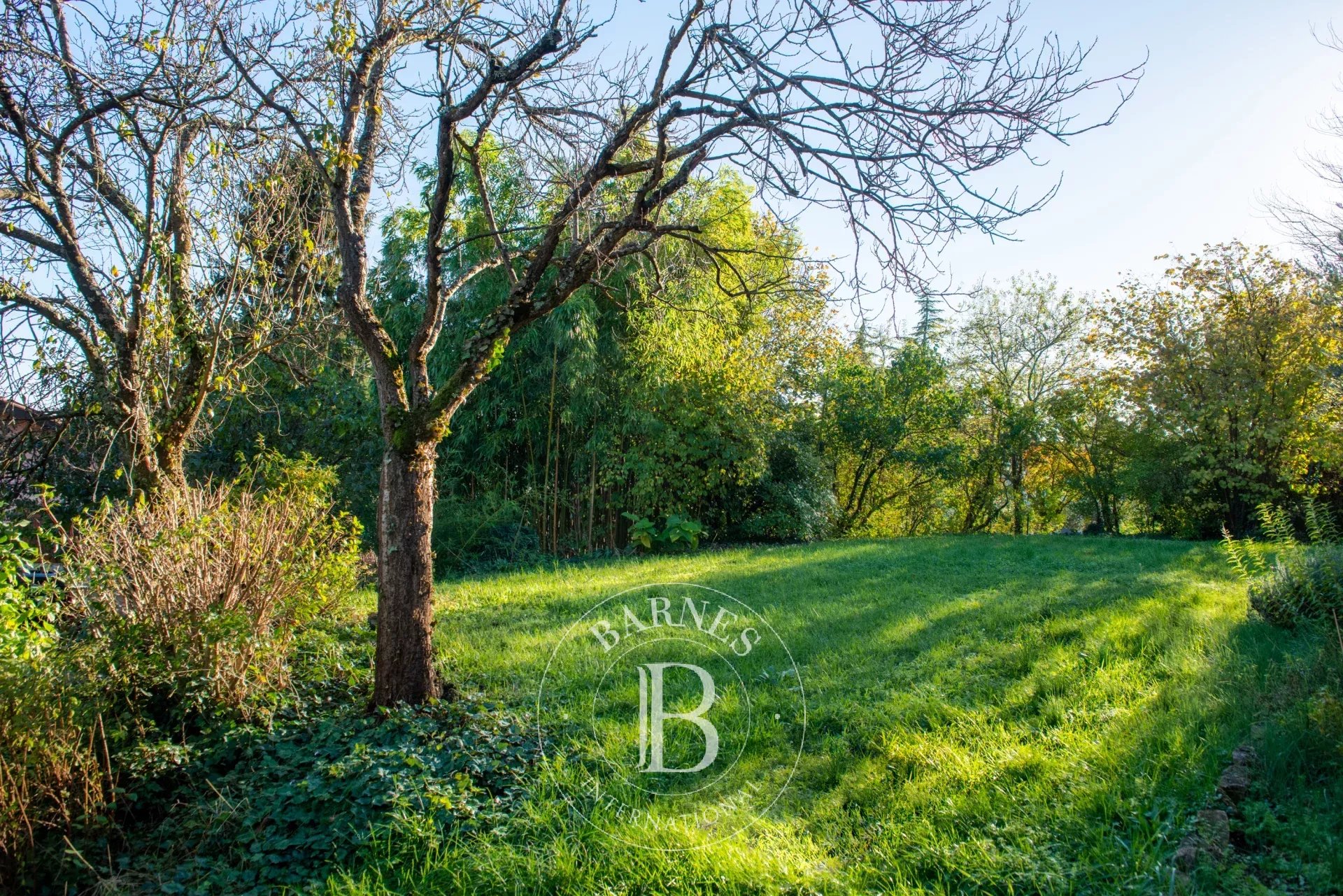 Ev Sainte-Foy-lès-Lyon - picture 9