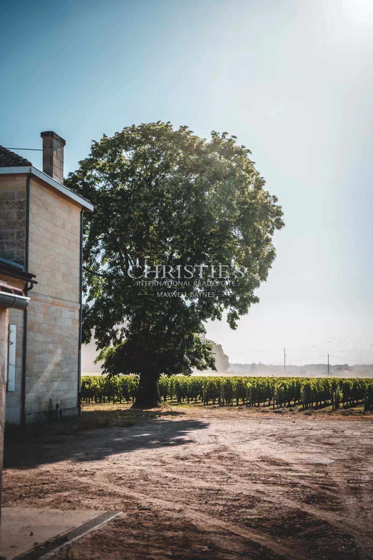 2 Bedroom Vineyard's Image 9