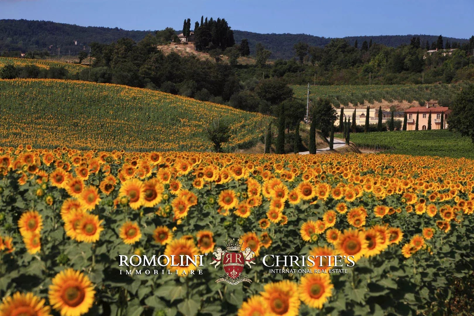 15 Bedroom Vineyard's Image 5