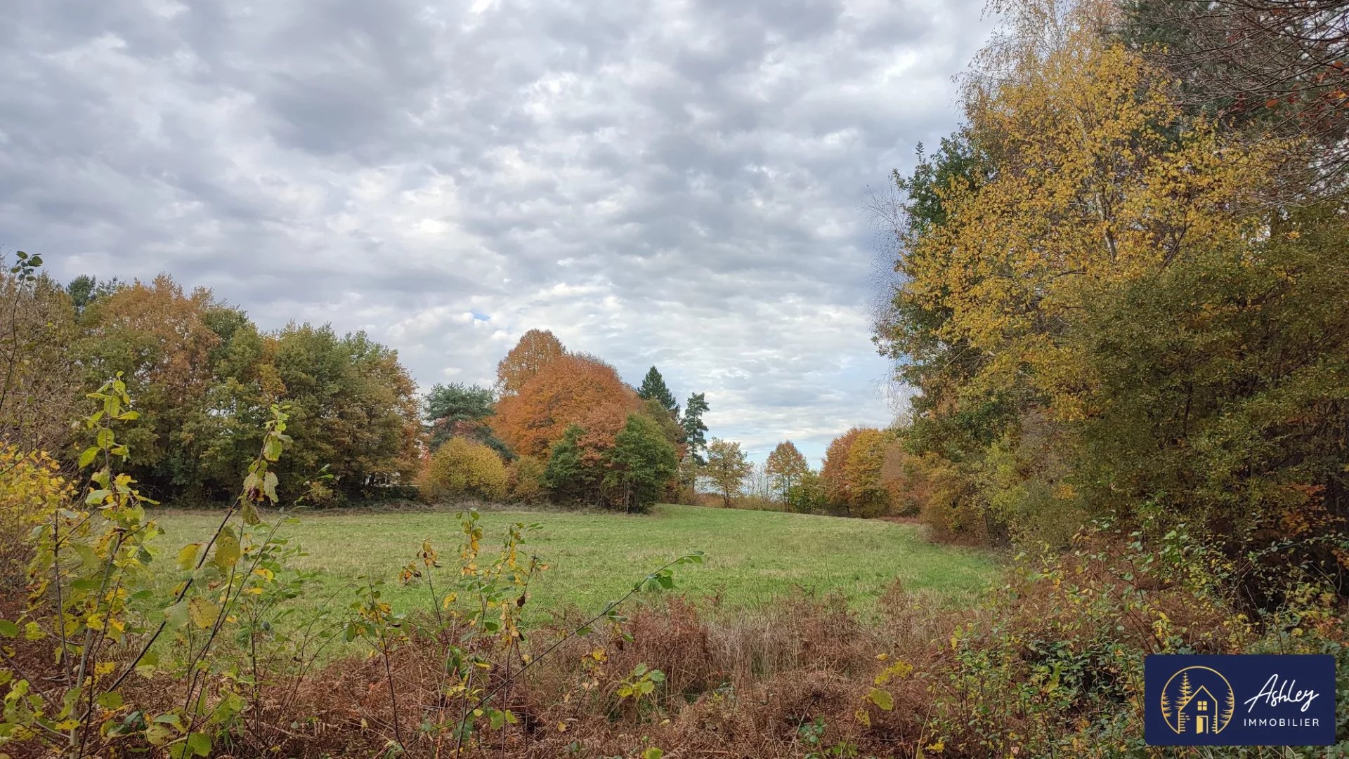 Terrain de loisir en bord de Lac