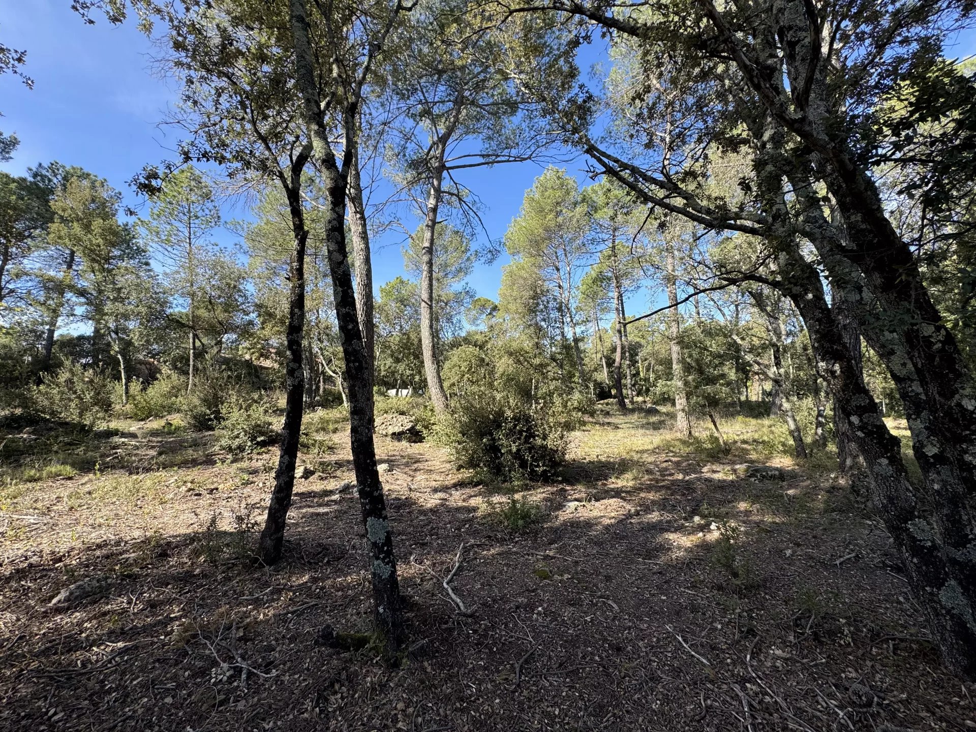 Vente Terrain Sillans-la-Cascade