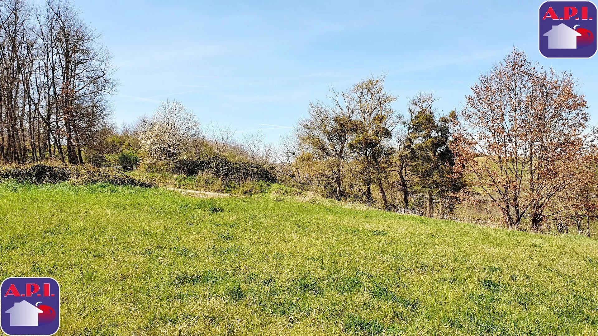 Vente Terrain Saverdun