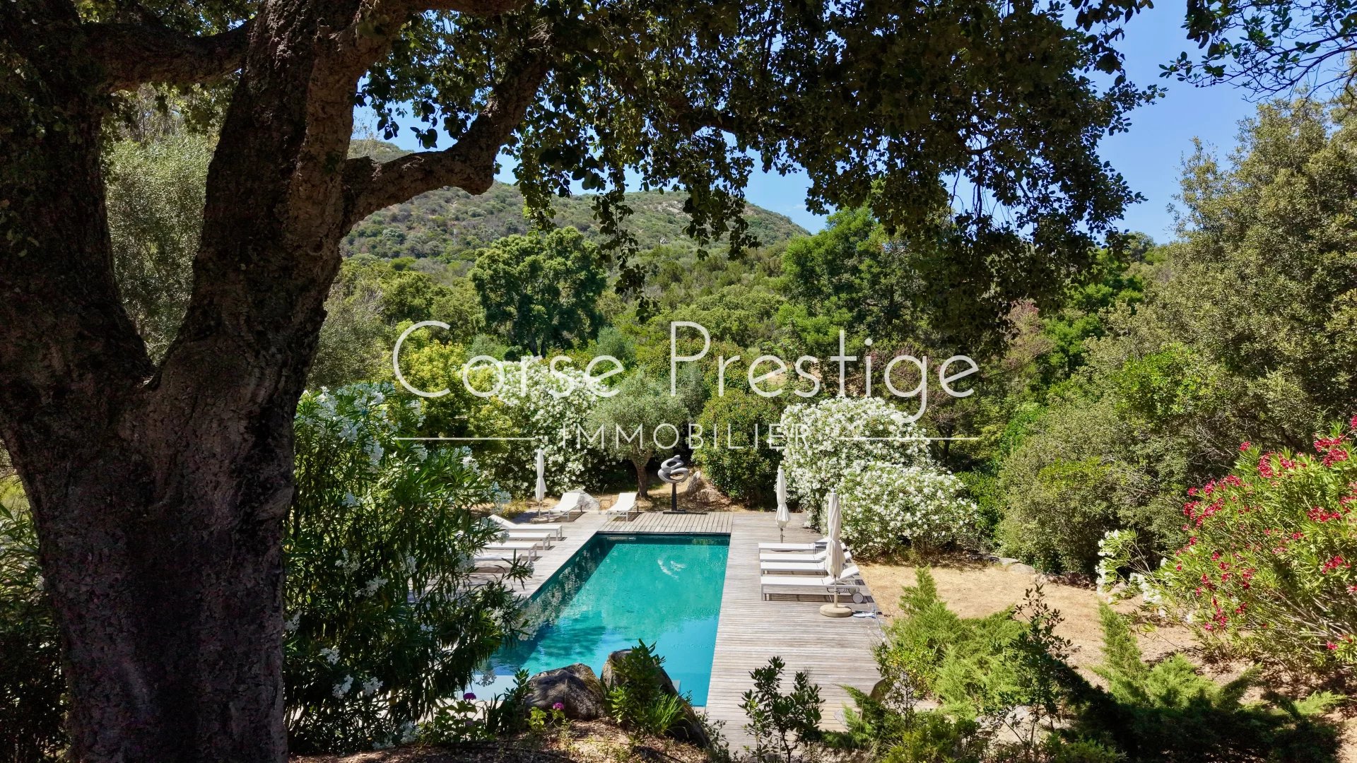 rare property in the midst of nature by the sea image11