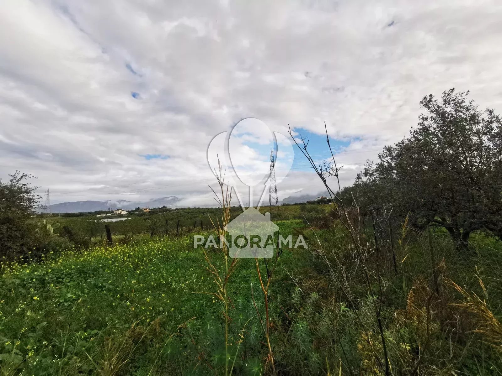 Vendita Terreno Partinico