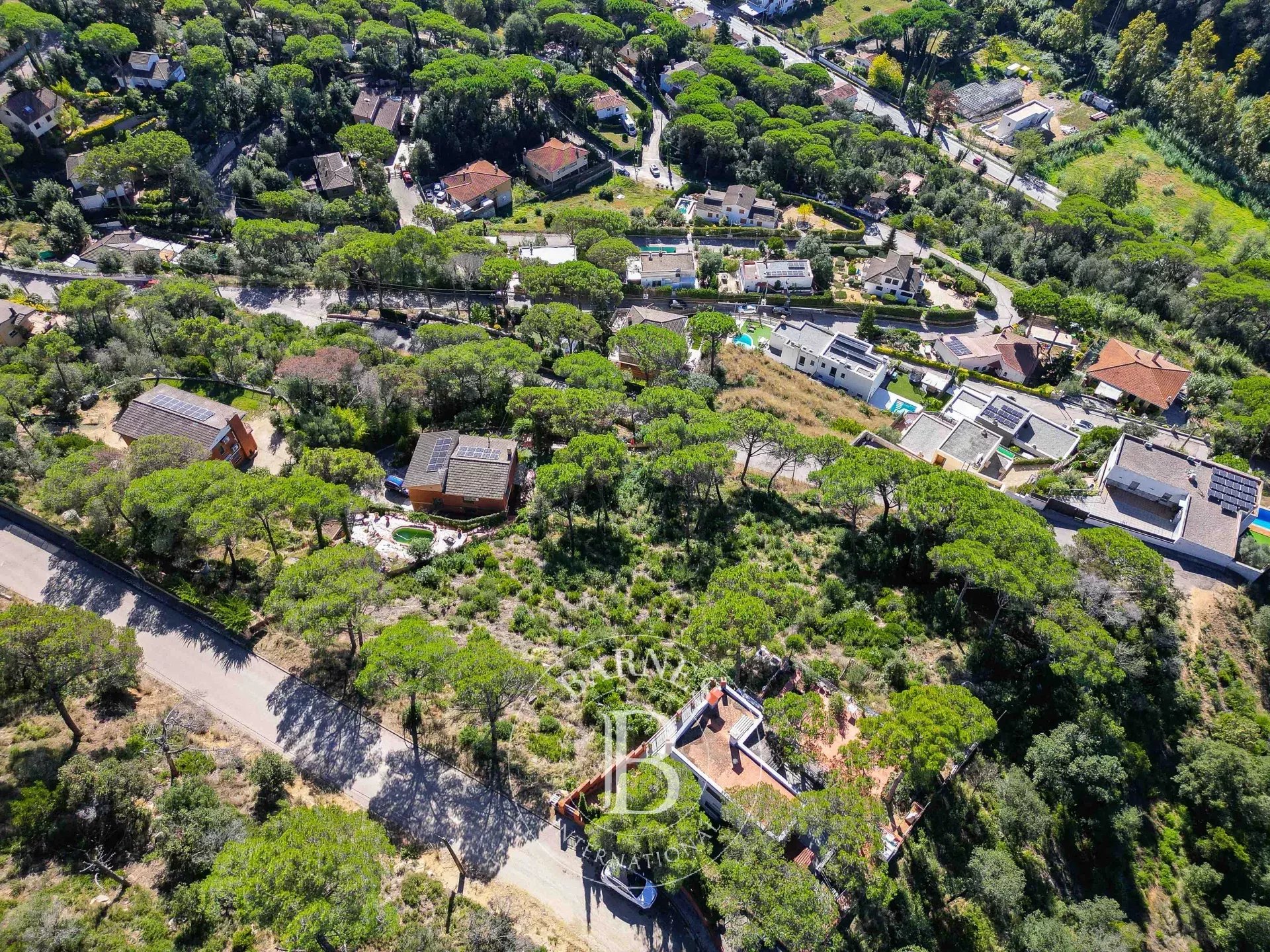 Arazi Dosríus - picture 26