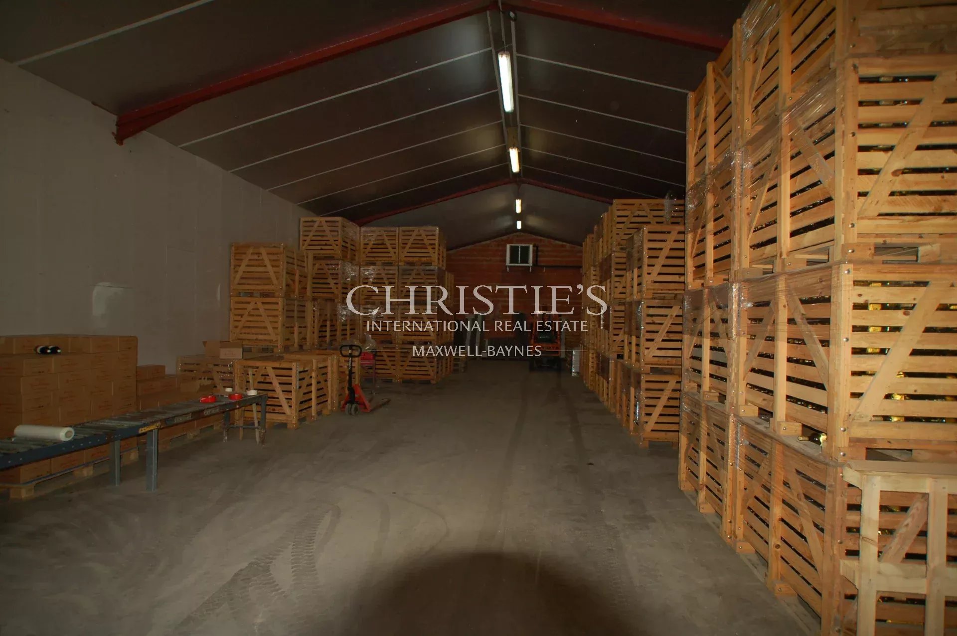 Vineyard's Image 8