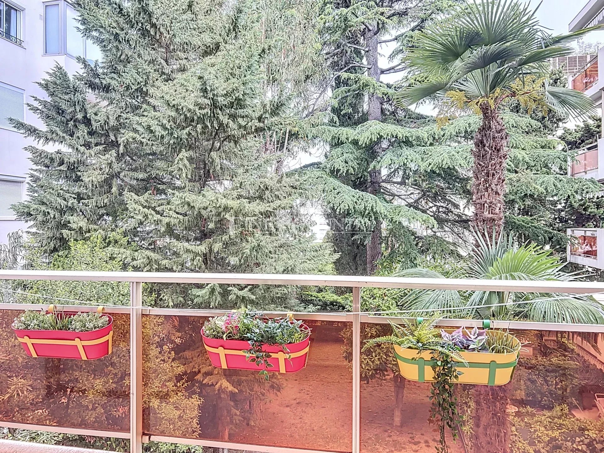 Photo of Apartment 3 bedrooms for sale in Cannes Palm Beach