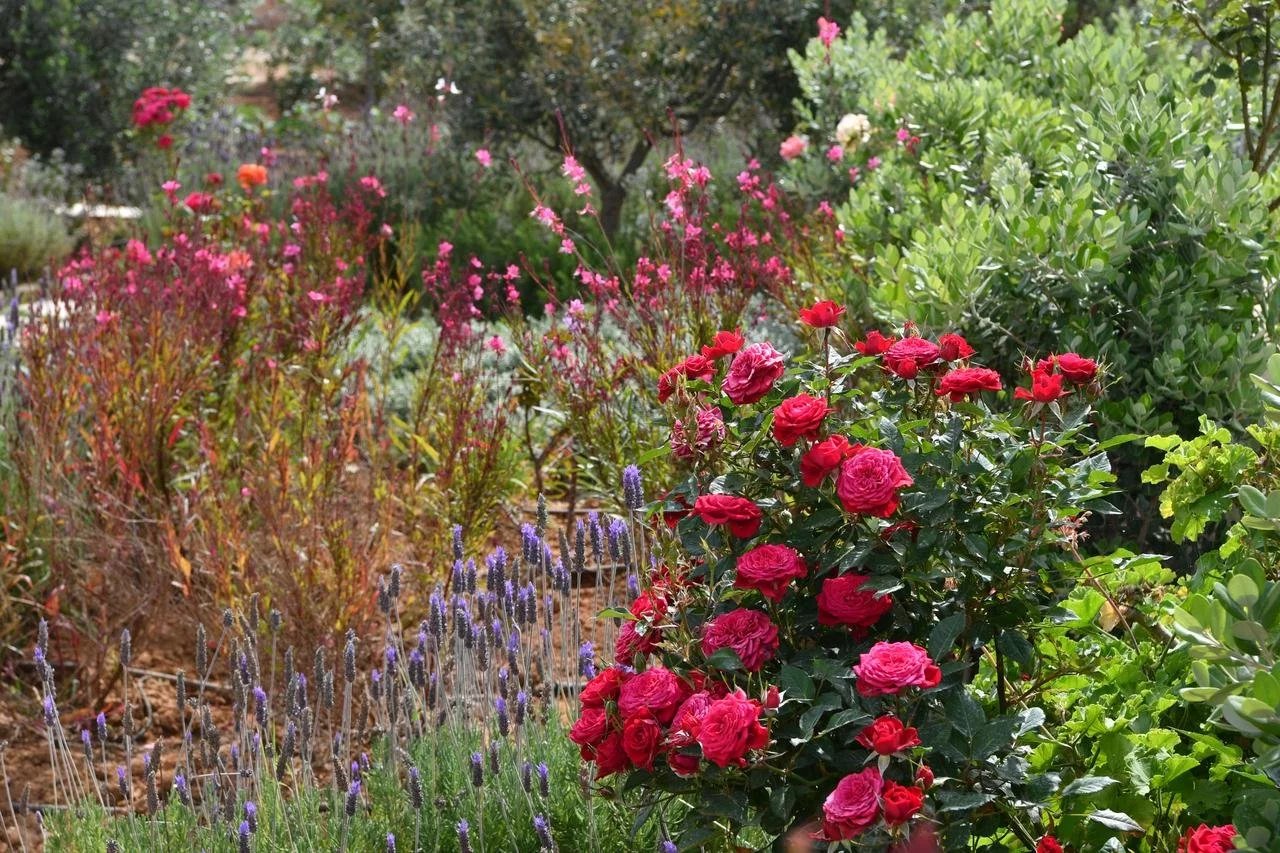 Εικόνα ιδιοκτησίας 11