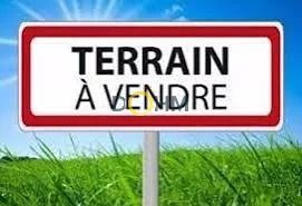 Vente Terrain Lamothe