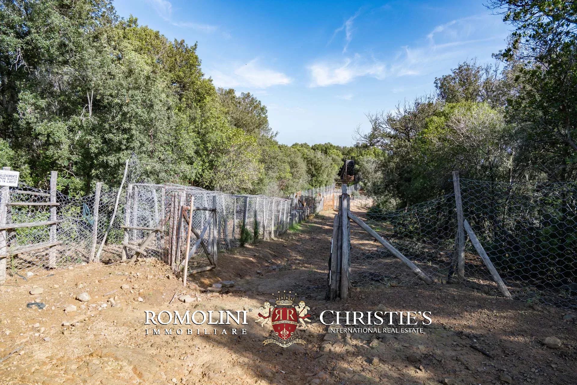 324-HA HUNTING RESERVE WITH DEVELOPMENT PROJECT FOR SALE IN MAREMMA, TUSCAN COAST