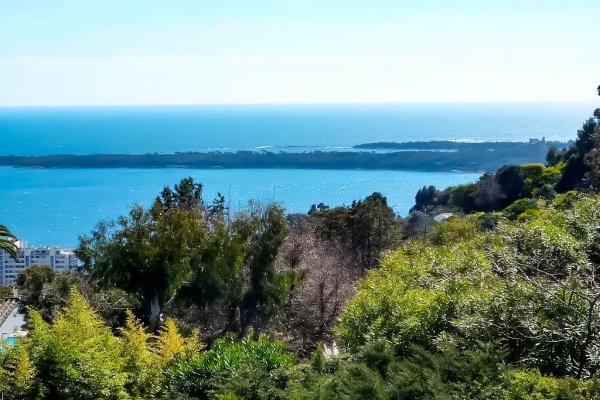 Contemporary Luxury Villa for Sale in Cannes with Lérins Island Views — photo 4