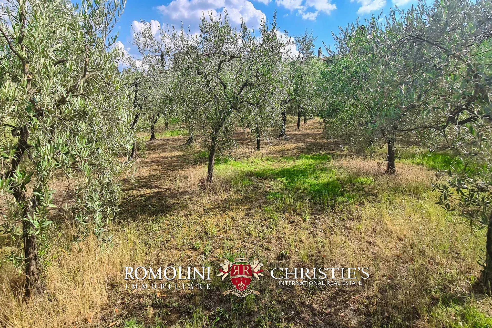 5 Bedroom Vineyard's Image 11