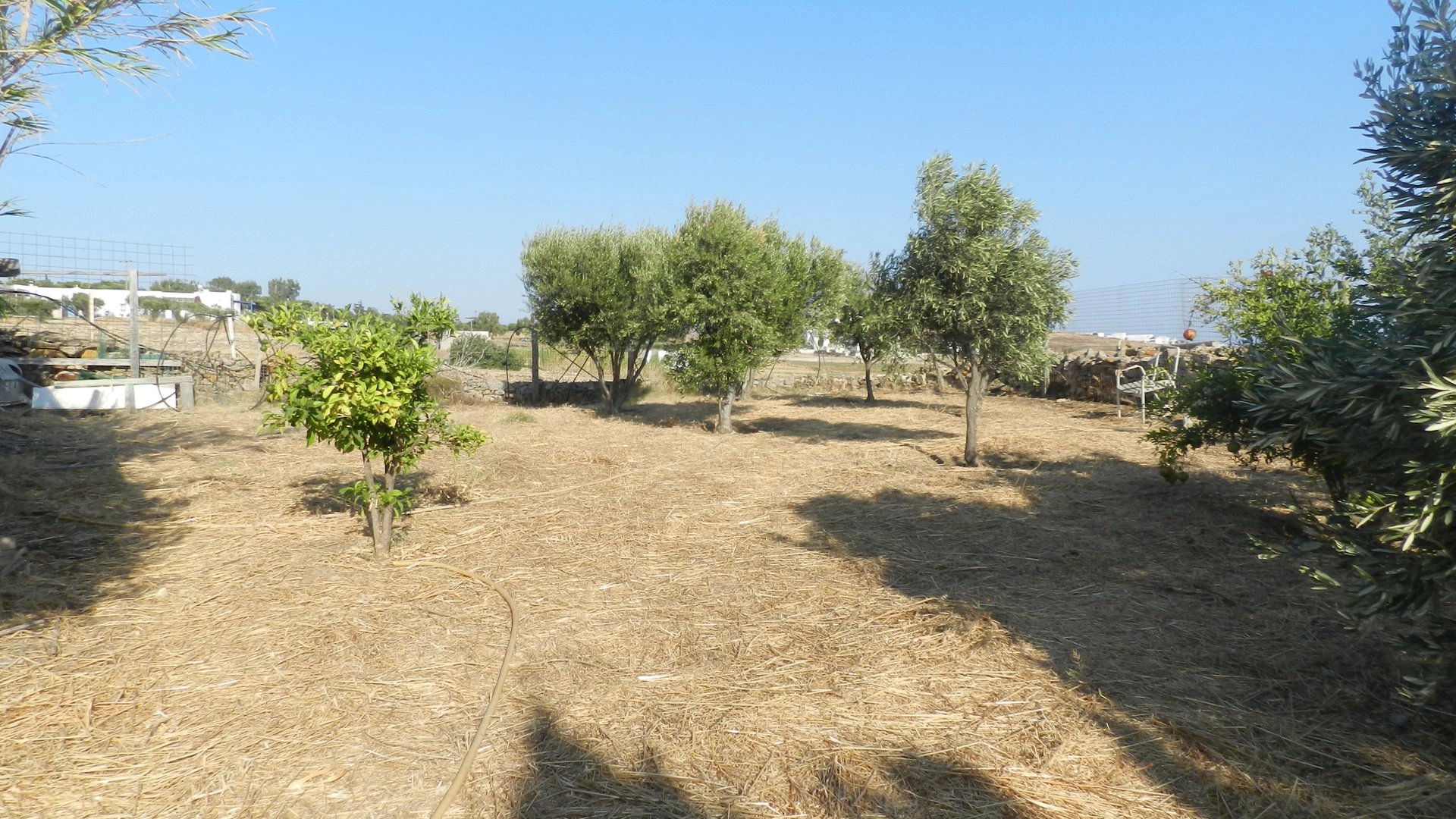 Εικόνα ιδιοκτησίας 6