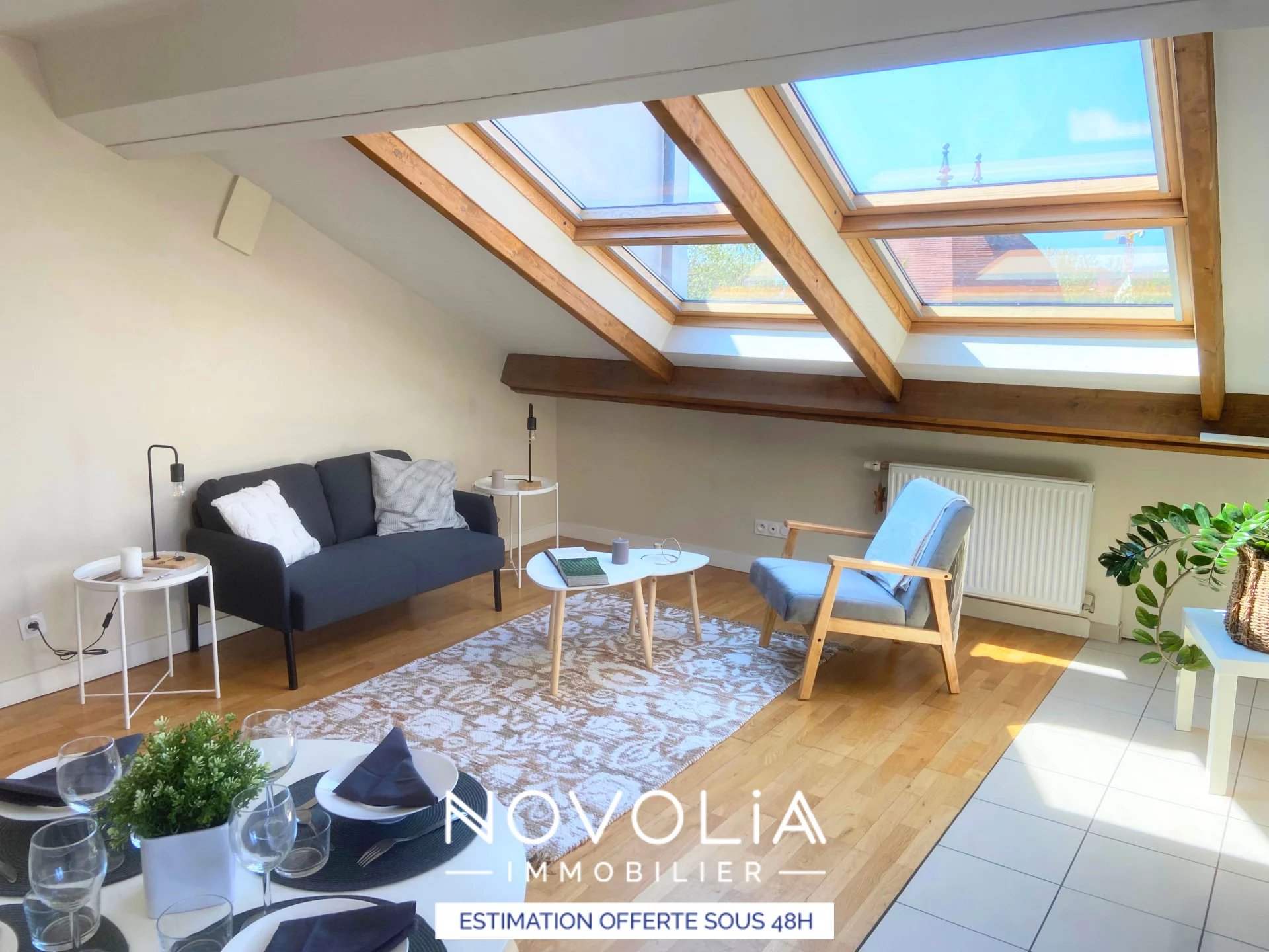 Achat Appartement Surface de 70 m�/ Total carrez : 36 m�, 2 pi�ces, Lyon 7�me (69007)