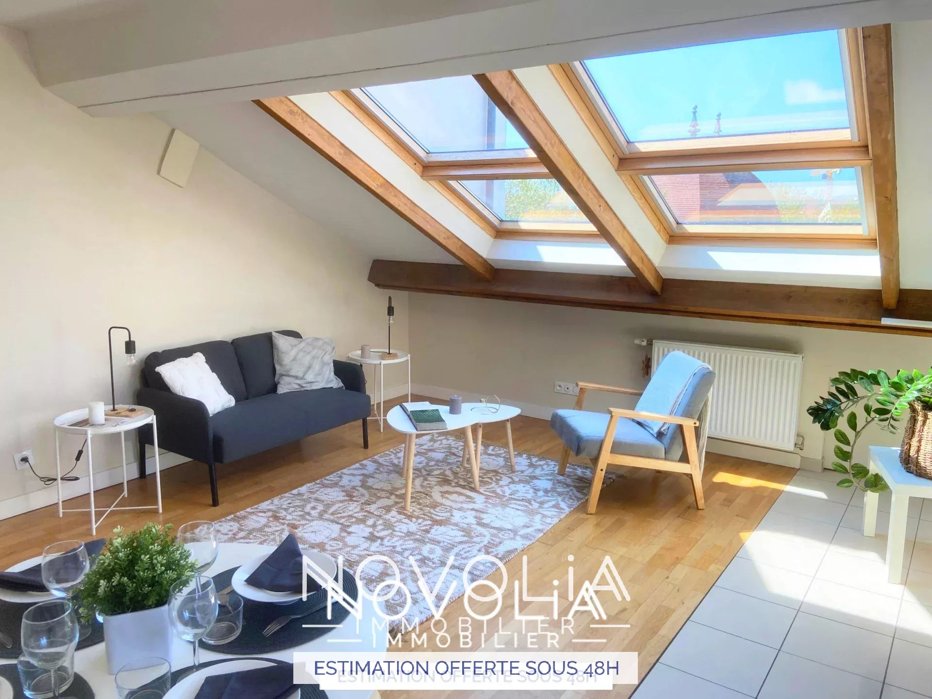 Achat Appartement Surface de 70 m/ Total carrez : 36 m, 2 pices, Lyon 7me (69007)