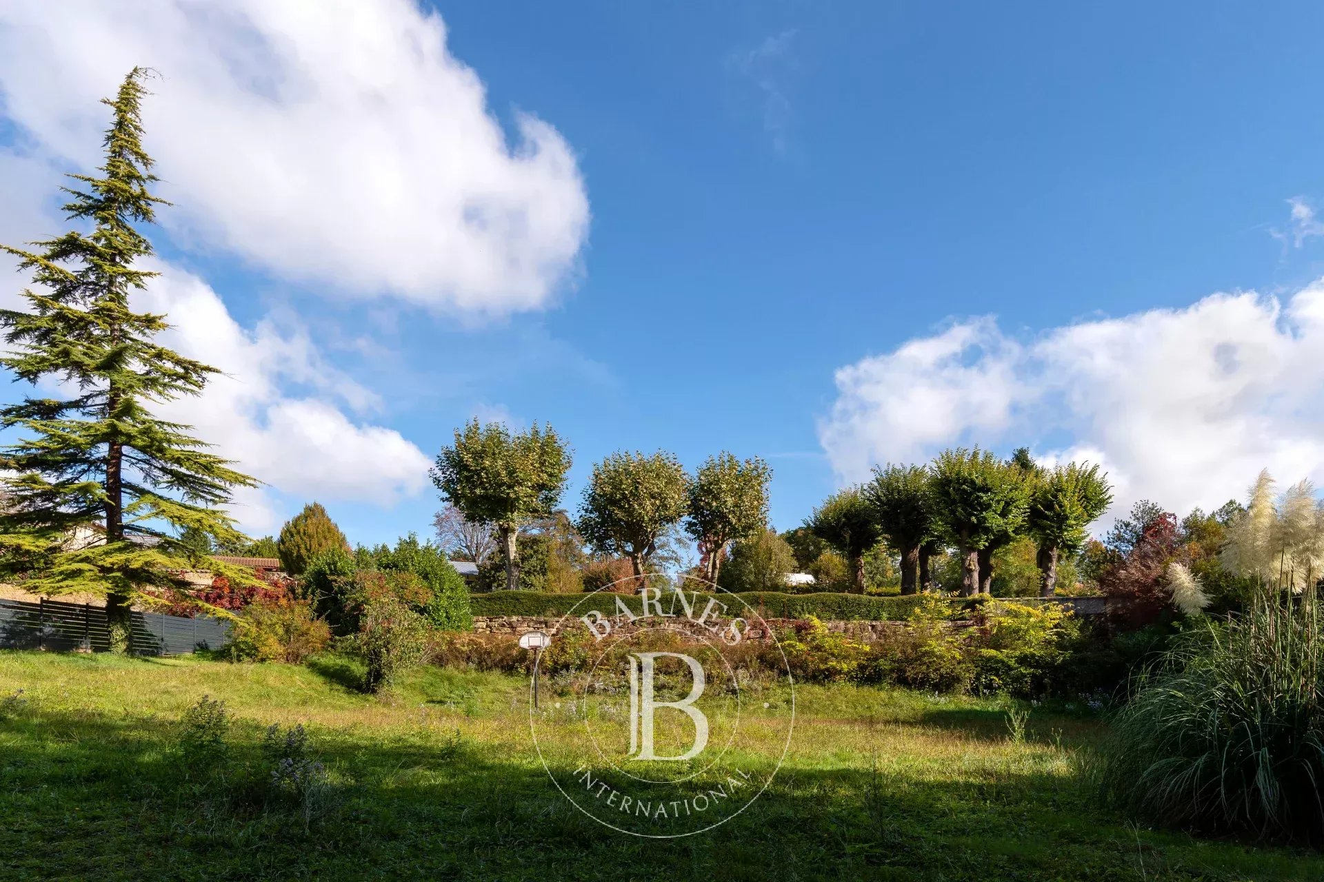 Arazi Saint-Cyr-au-Mont-d'Or - picture 6