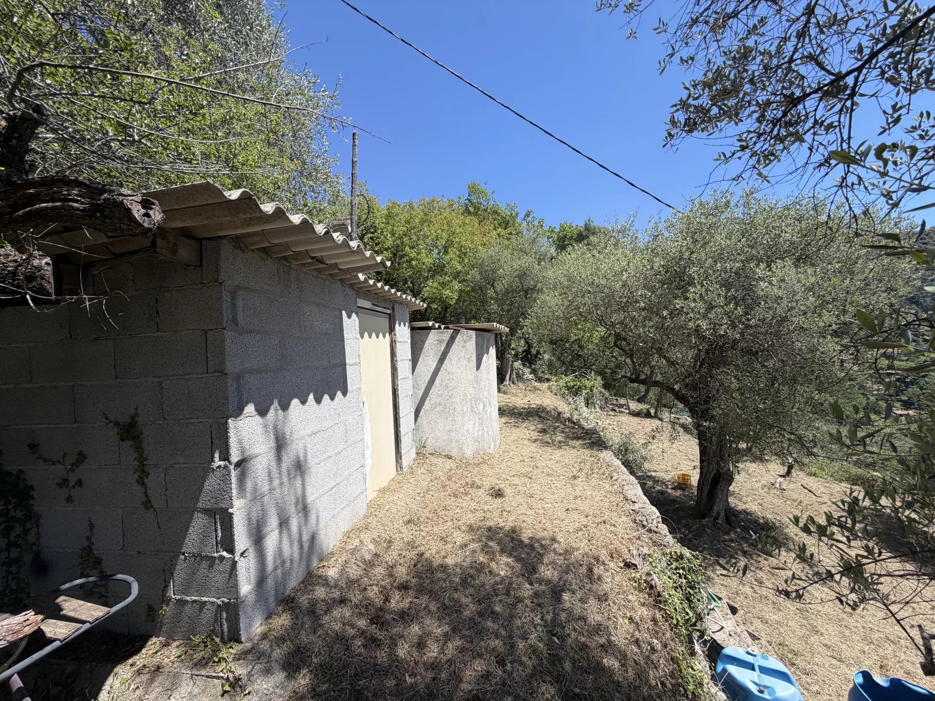 ESCARENE - REMISE avec campagne - Photo 5