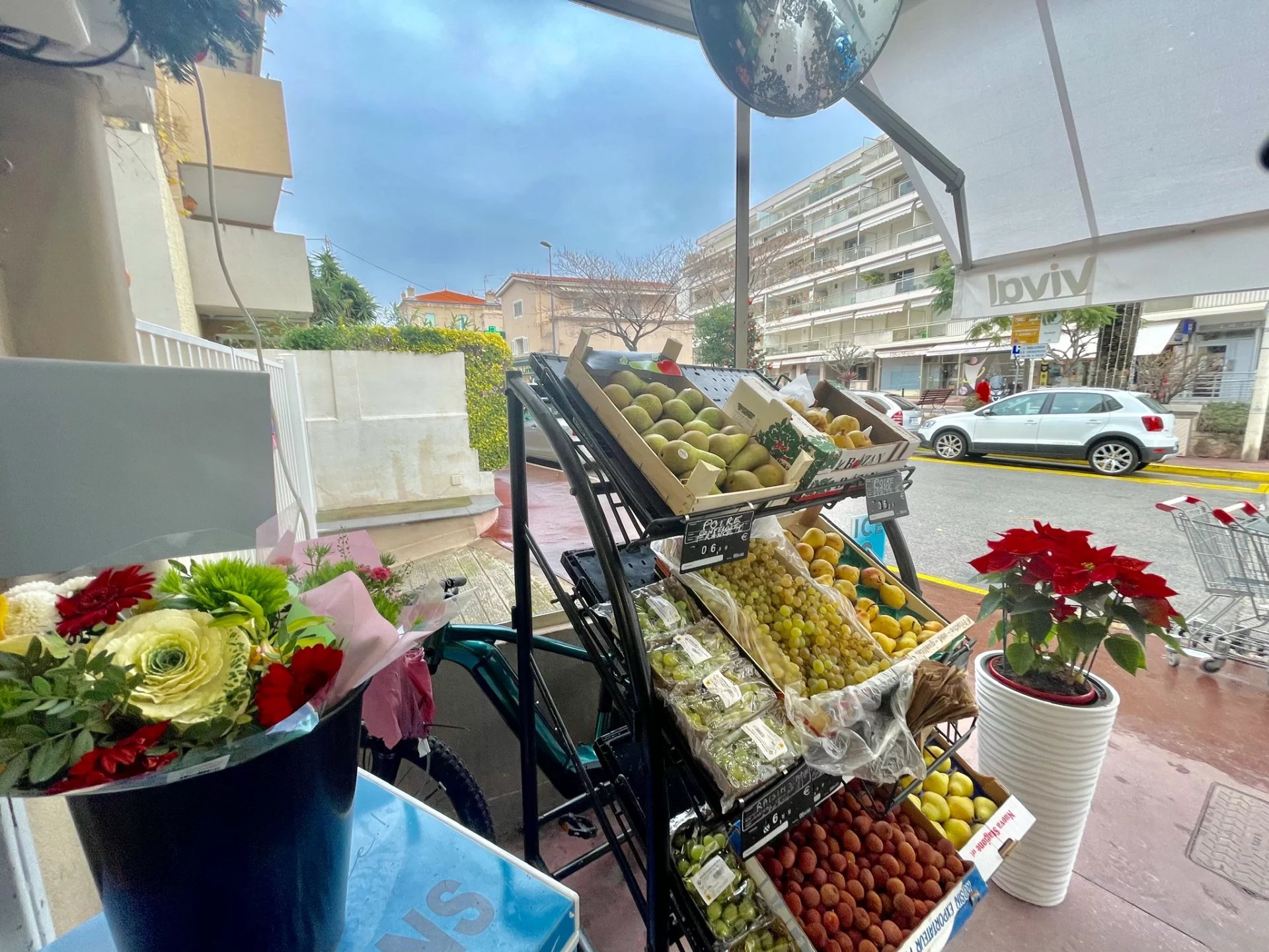 CANNES  PALM BEACH  MUR A VENDRE LOUES