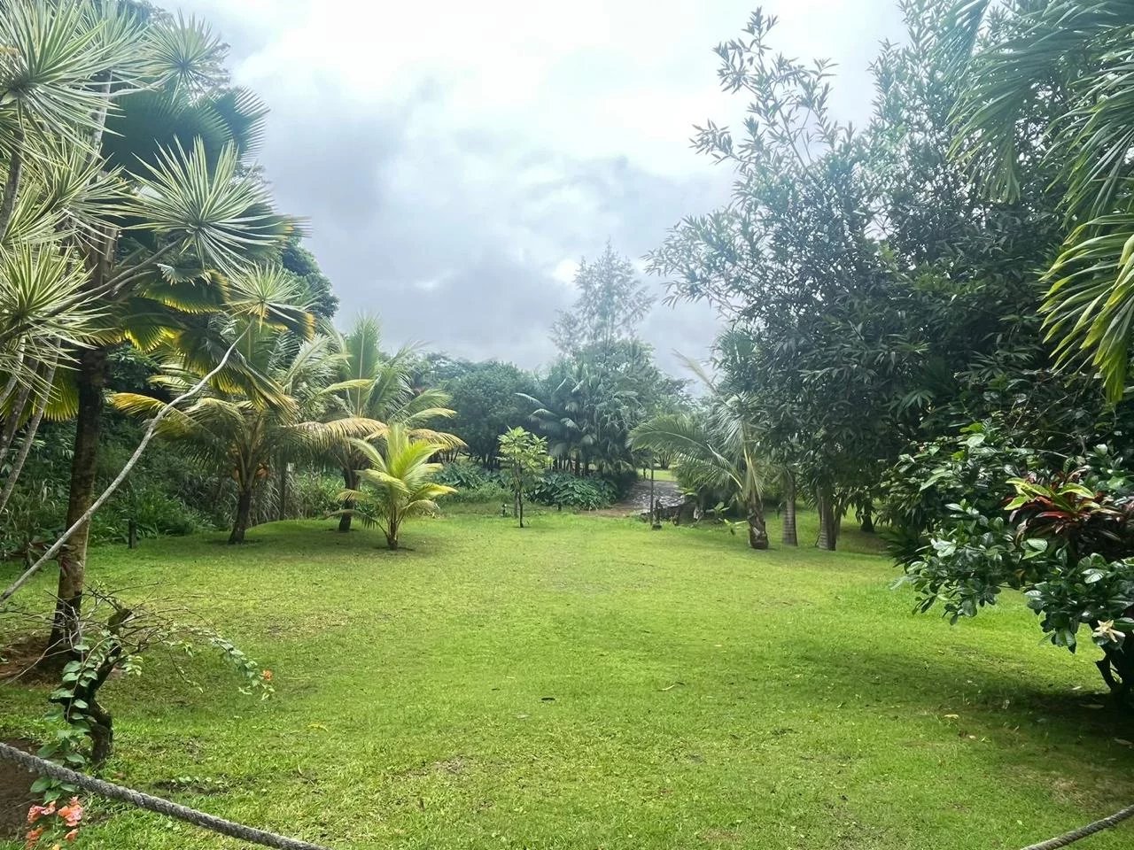 Dağ evi Sébastopol - picture 30