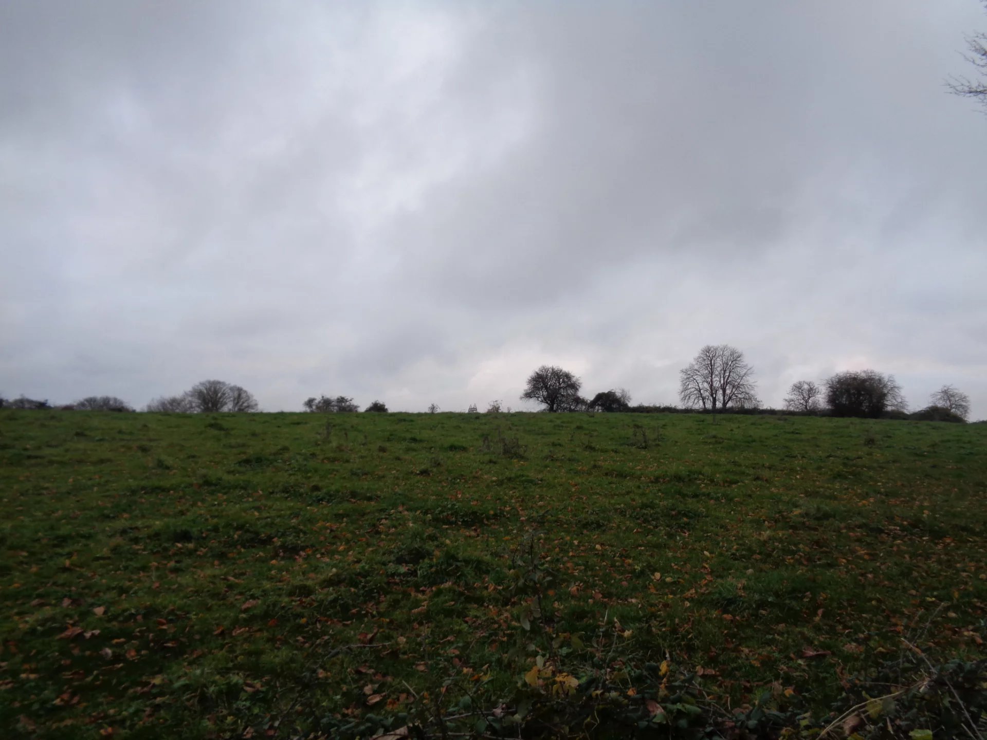 Vente Terrain Giry