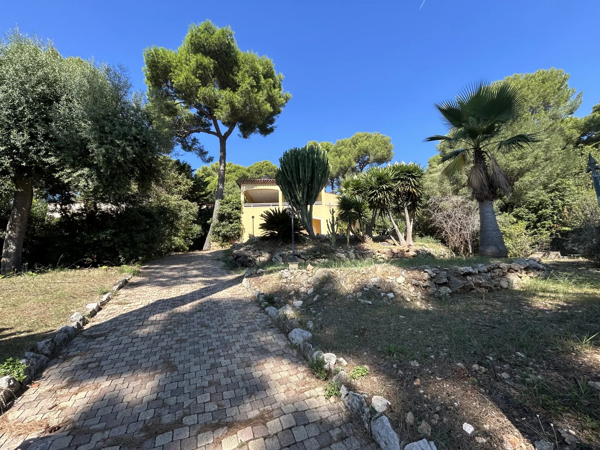 SALE OF HOUSE WITH 1,800 m² OF LAND