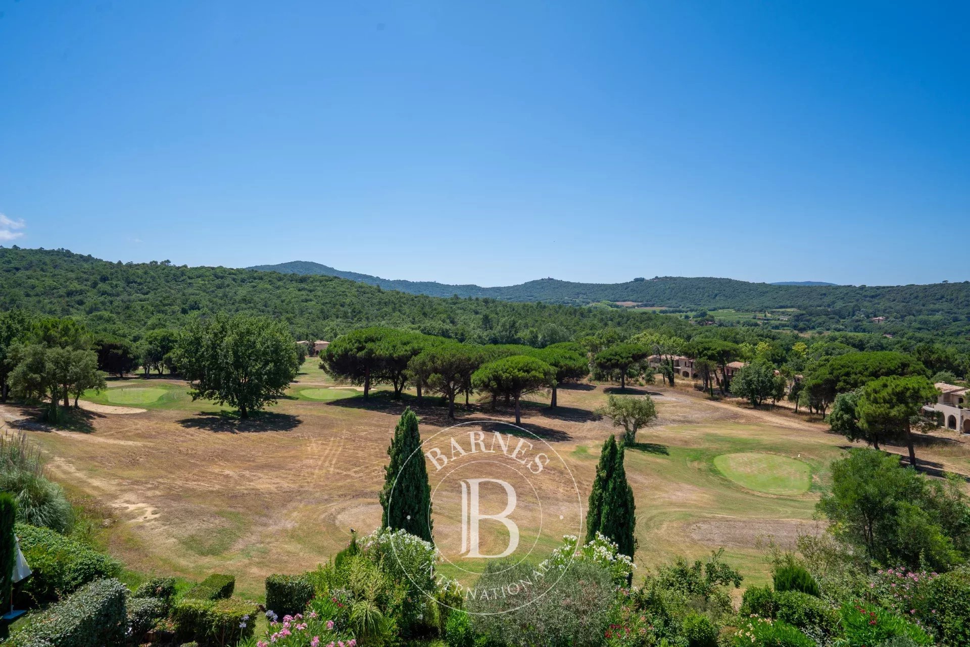 Ev Gassin - picture 5