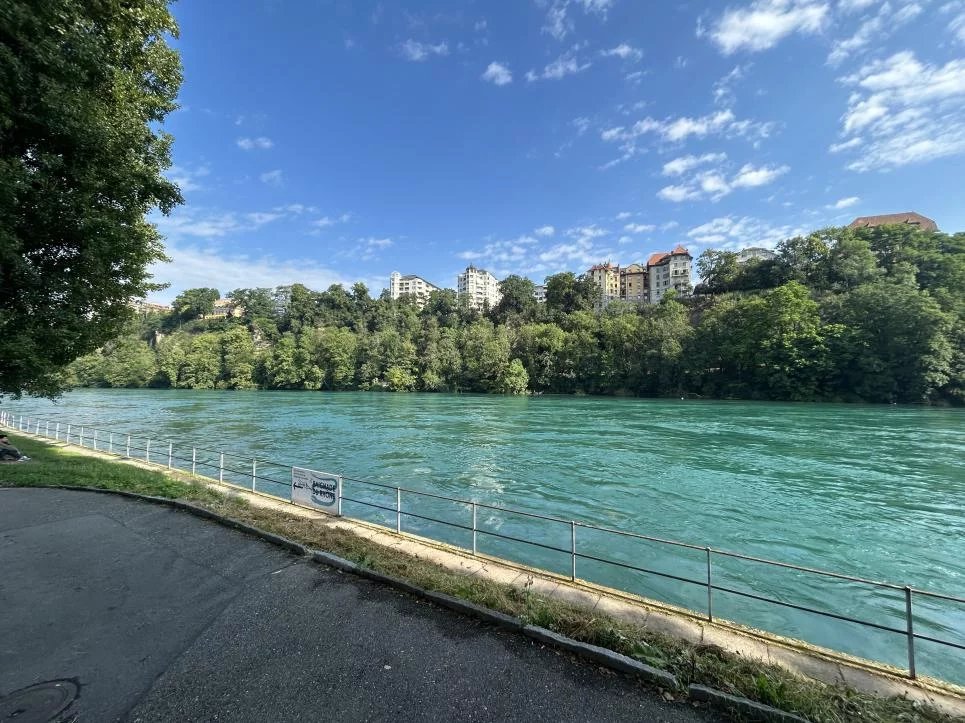 Elégance et Lumière à proximité des Berges du Rhône