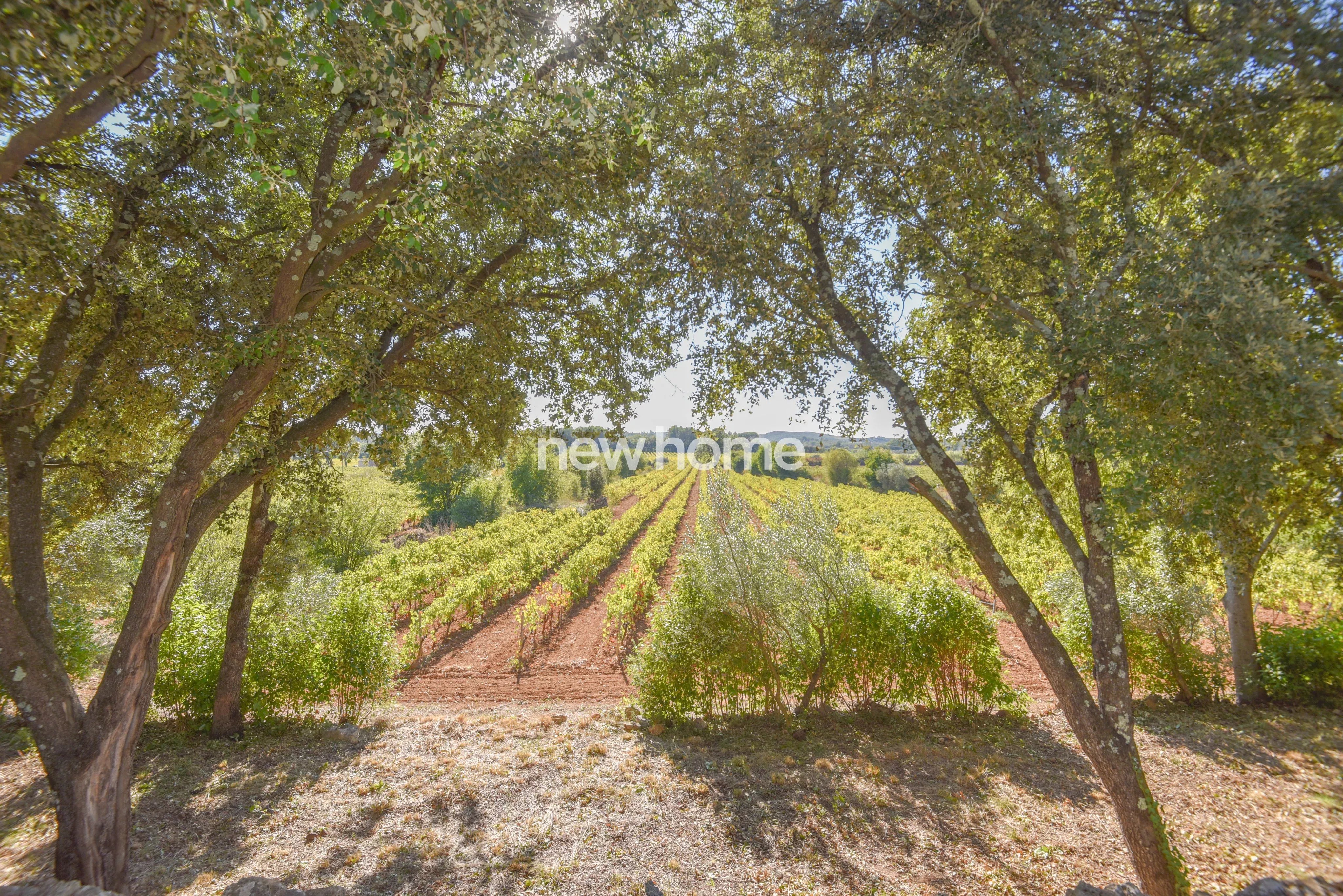 Élégance Provençale Authentique à deux pas de Cotignac