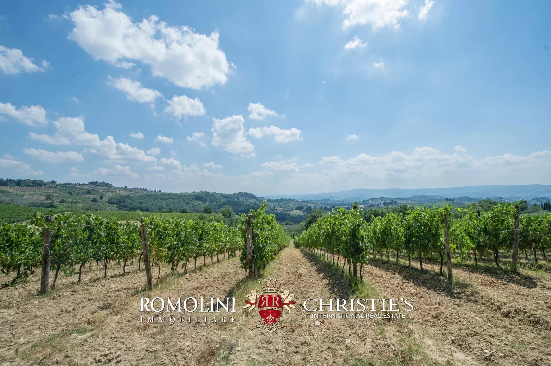 5 Bedroom Vineyard's Image 14