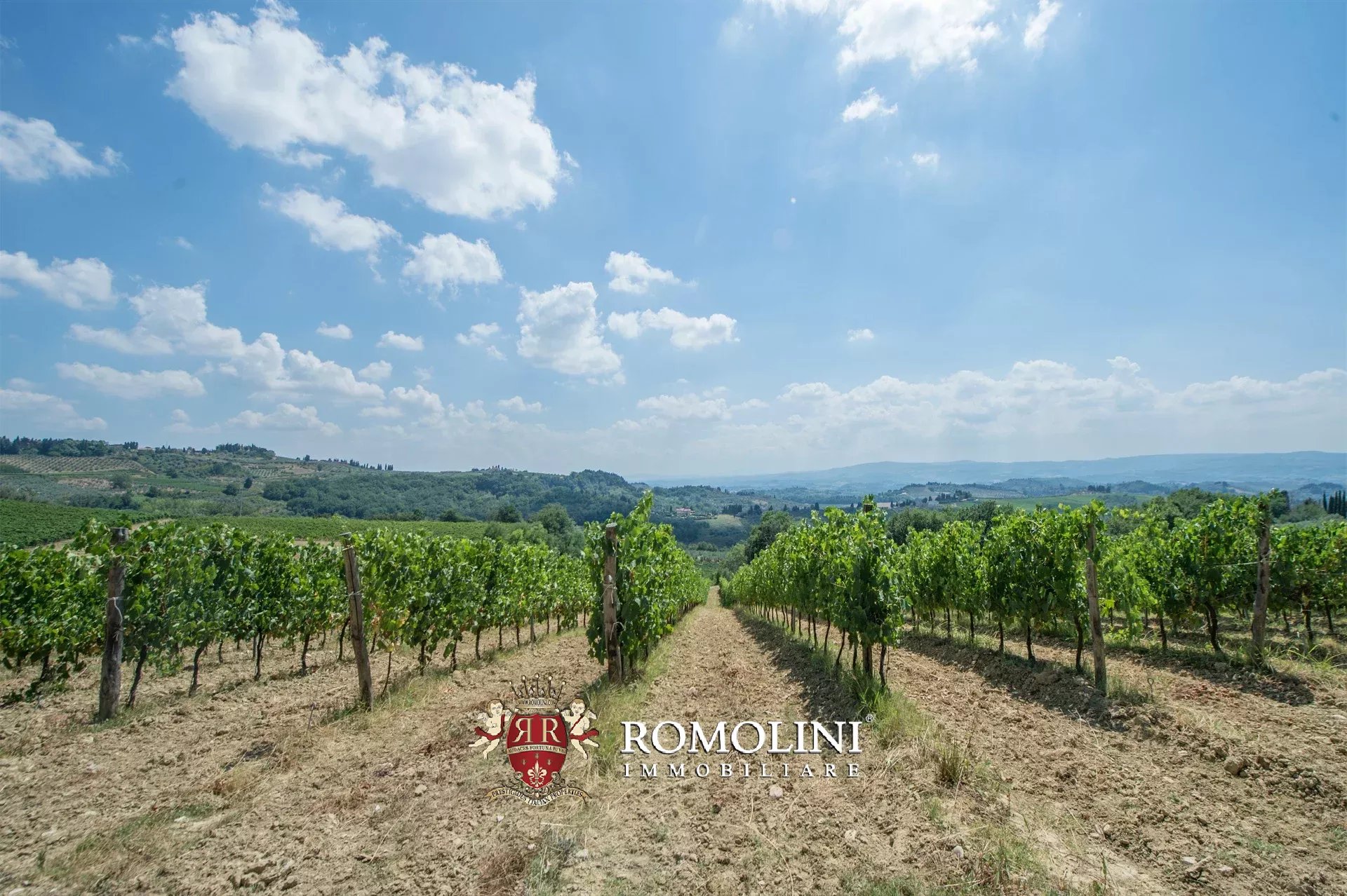 5 Bedroom Vineyard's Image 14