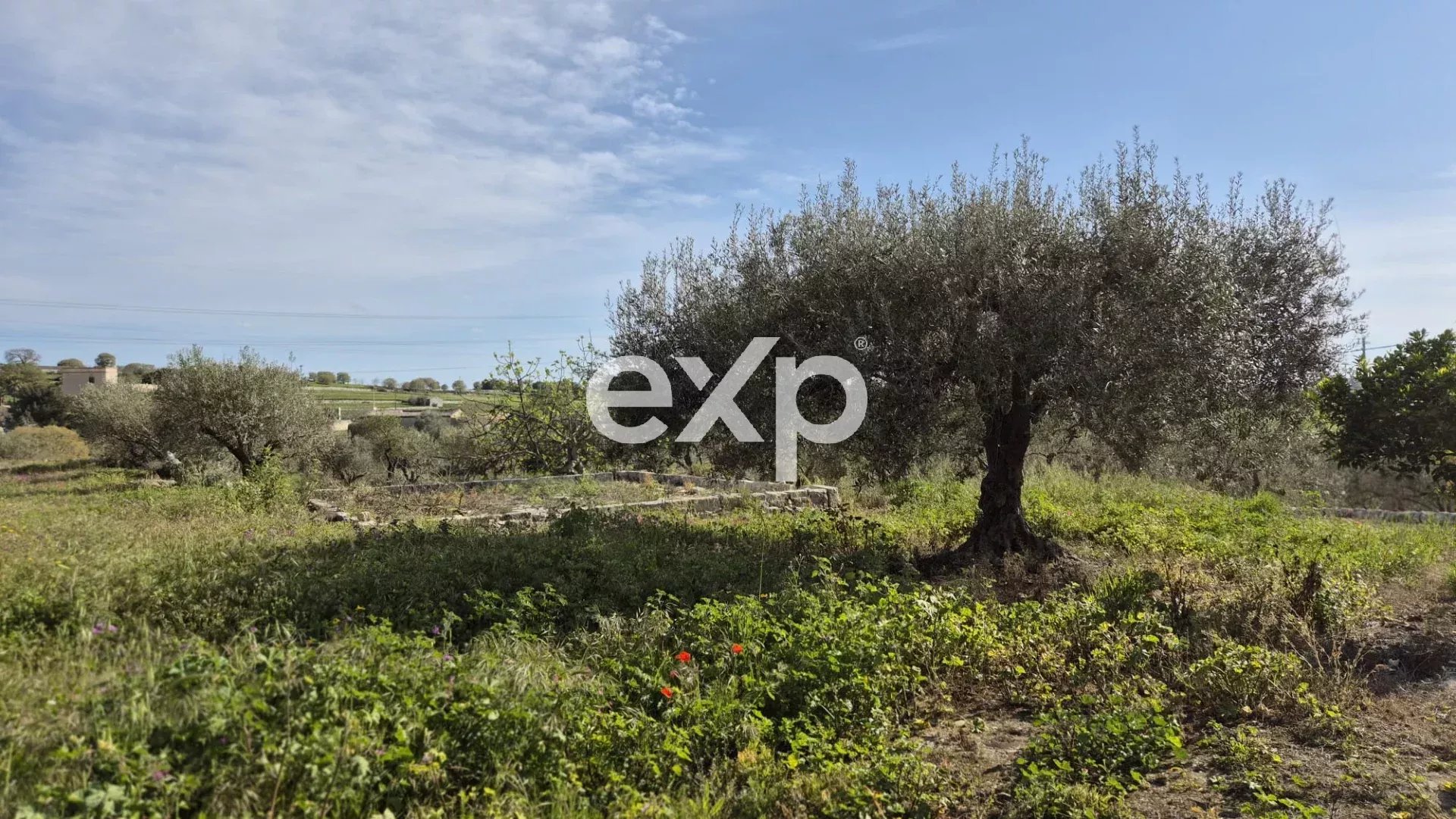 contrada girlando - 97015 - Ragusa - Modica